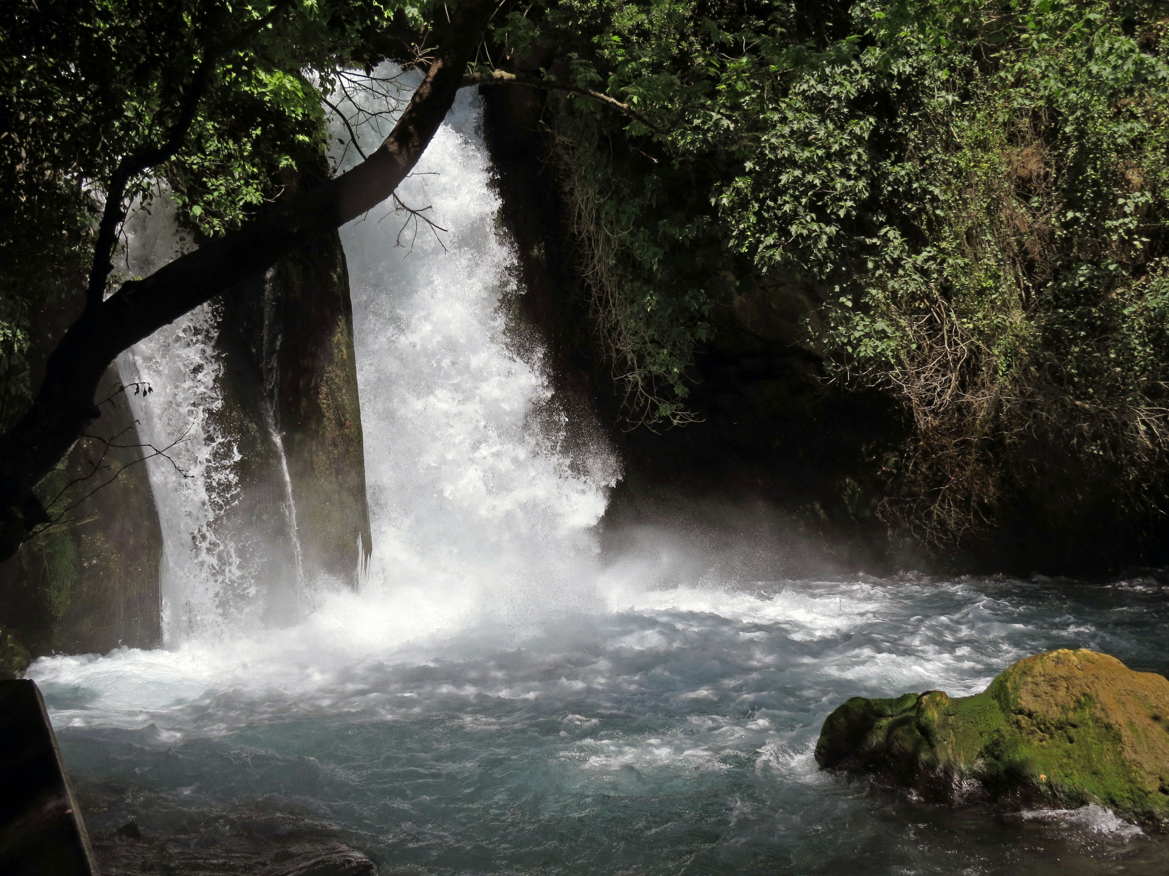 Pemandangan indah dengan air terjun dikelilingi oleh pepohonan