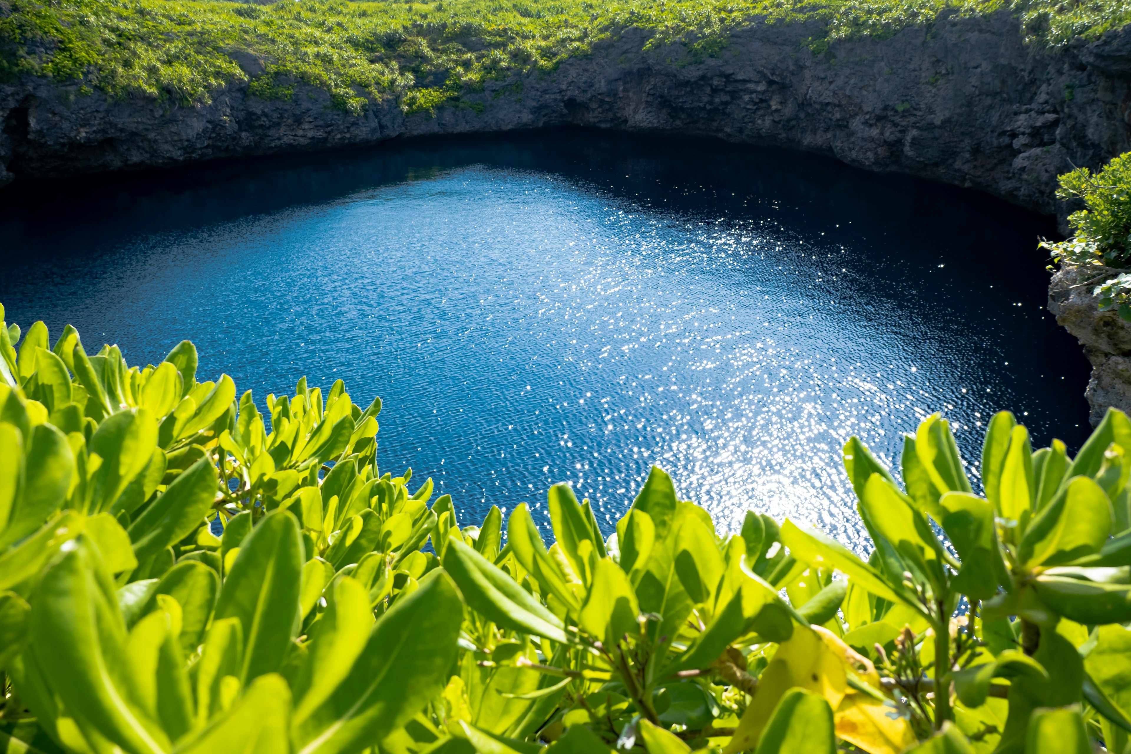 Une surface d'eau bleue sereine entourée de feuillage vert luxuriant