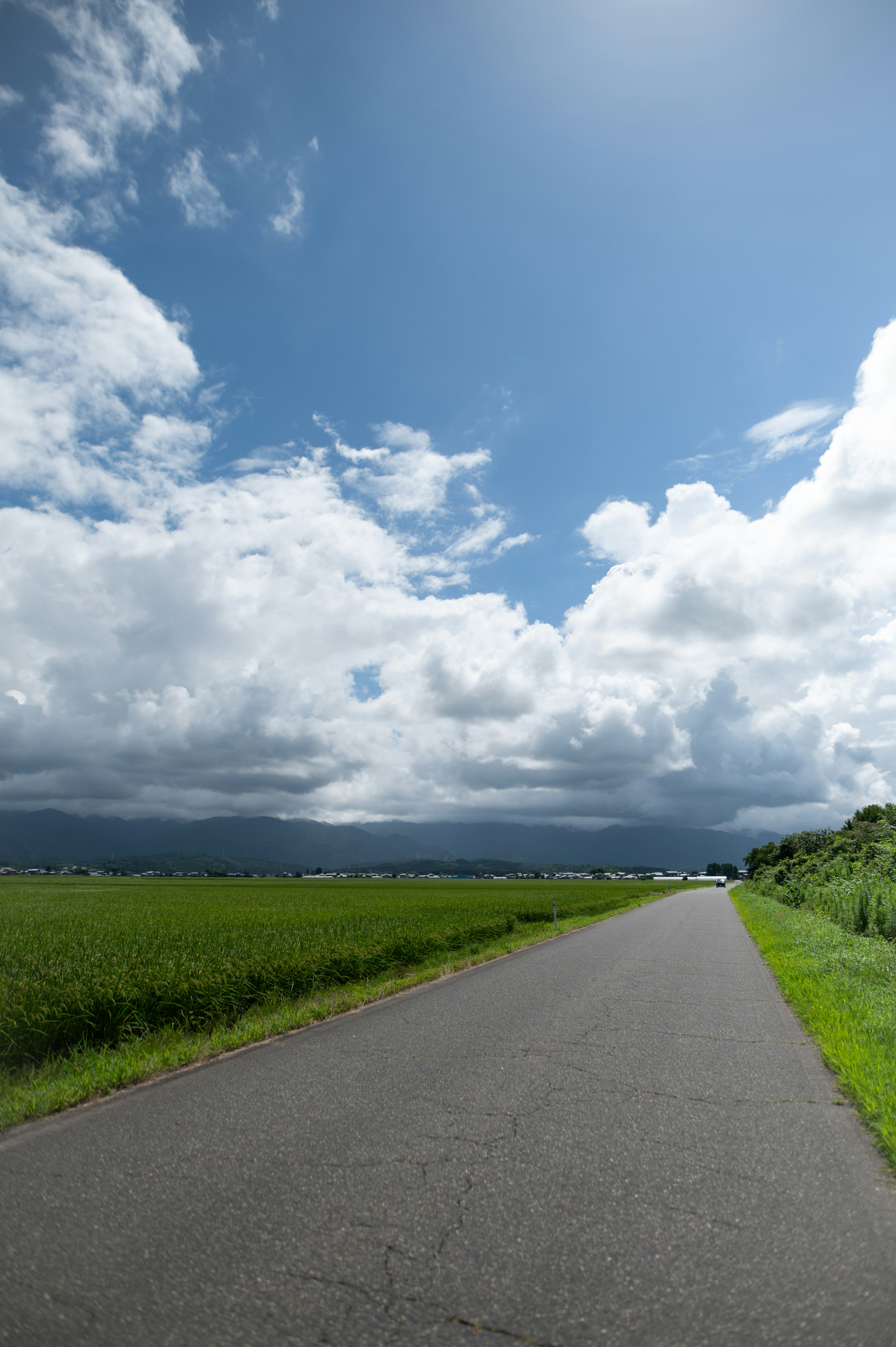 鋪裝道路穿過綠色田野，藍天上飄著白雲