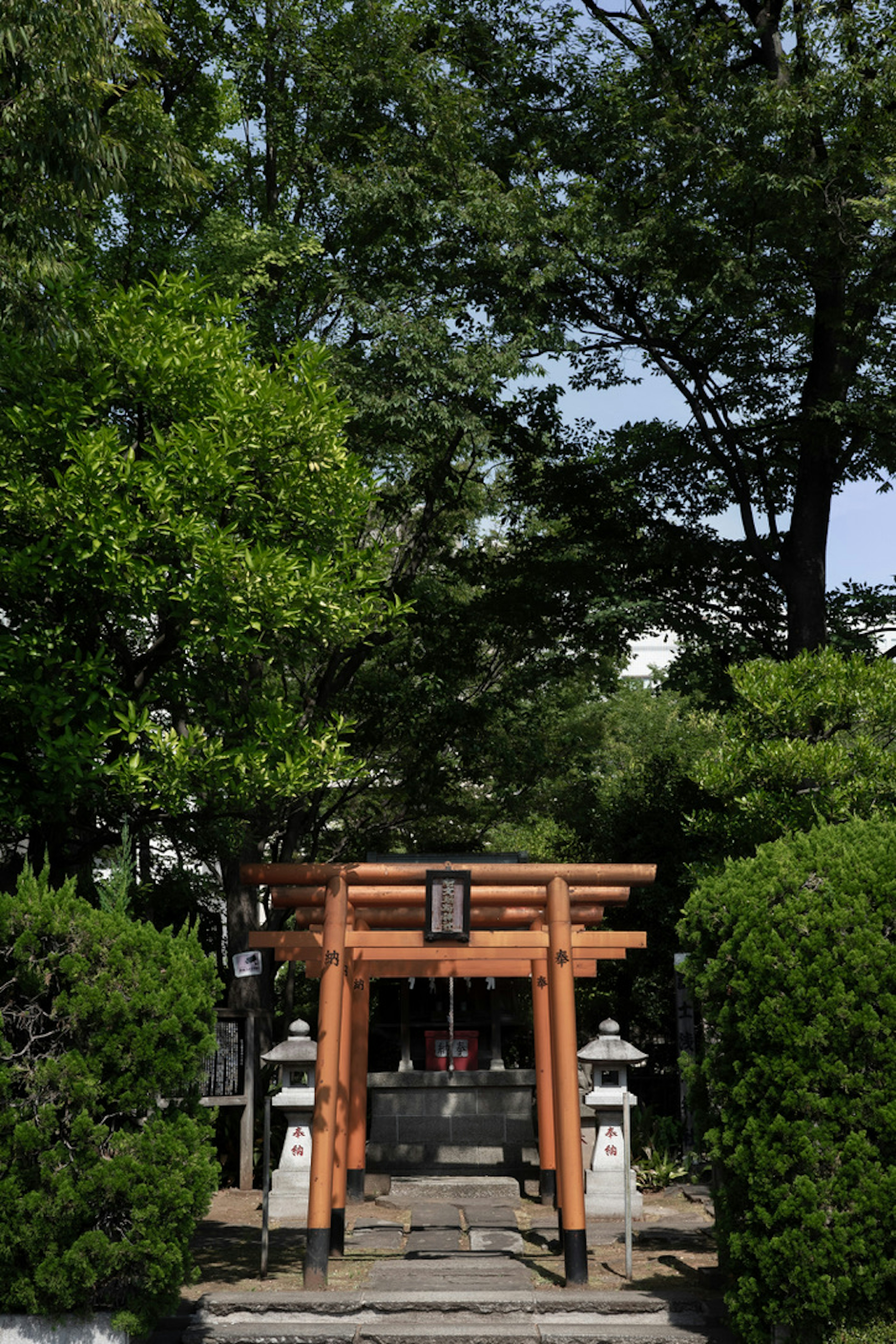 Lối vào đền thờ với cổng torii đỏ và đèn đá được bao quanh bởi cây cối tươi tốt