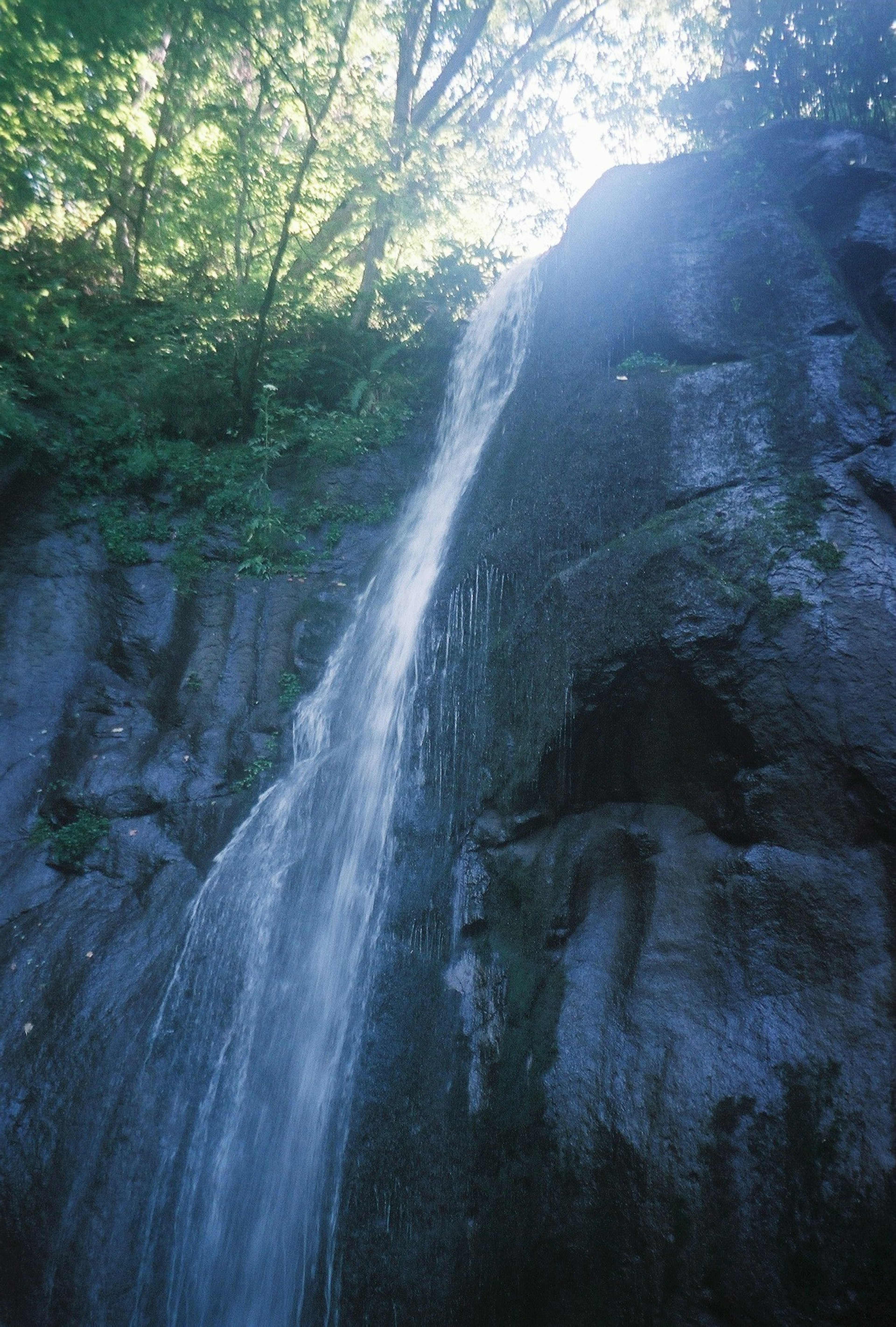 Ein schöner Wasserfall, der über blaue Felsen in einer Waldlandschaft fließt