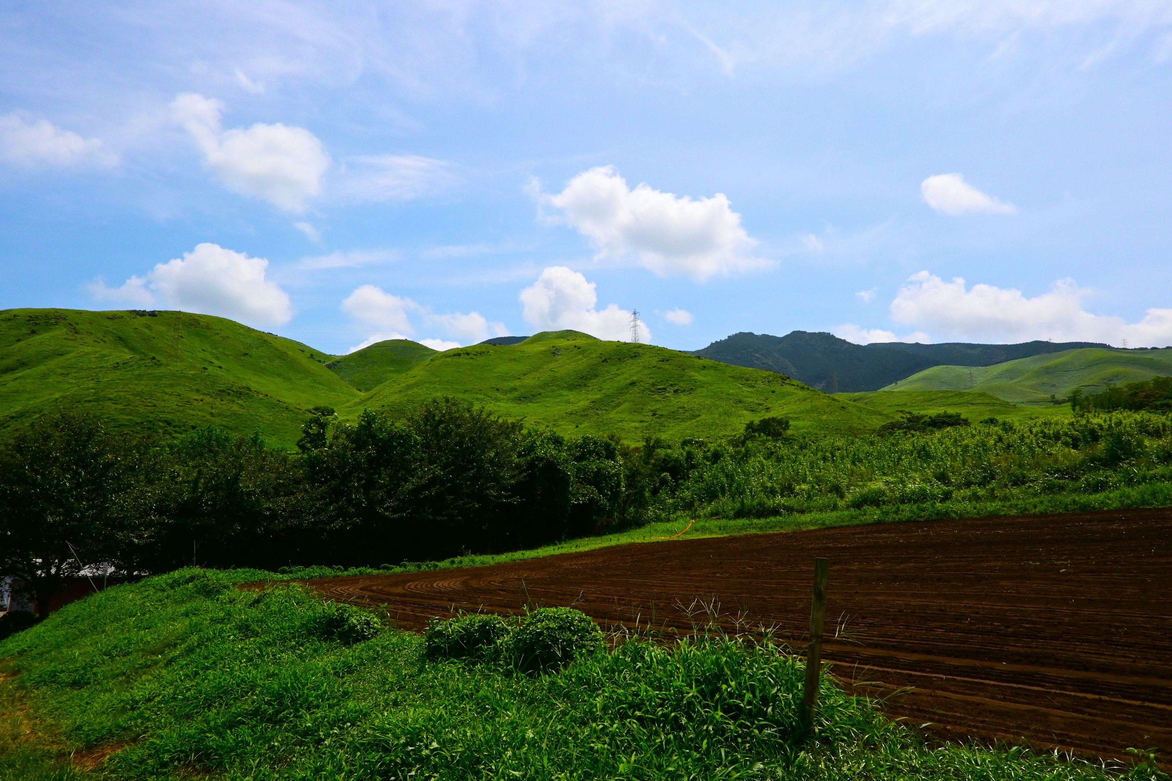 Colinas verdes exuberantes bajo un cielo azul con un terreno agrícola