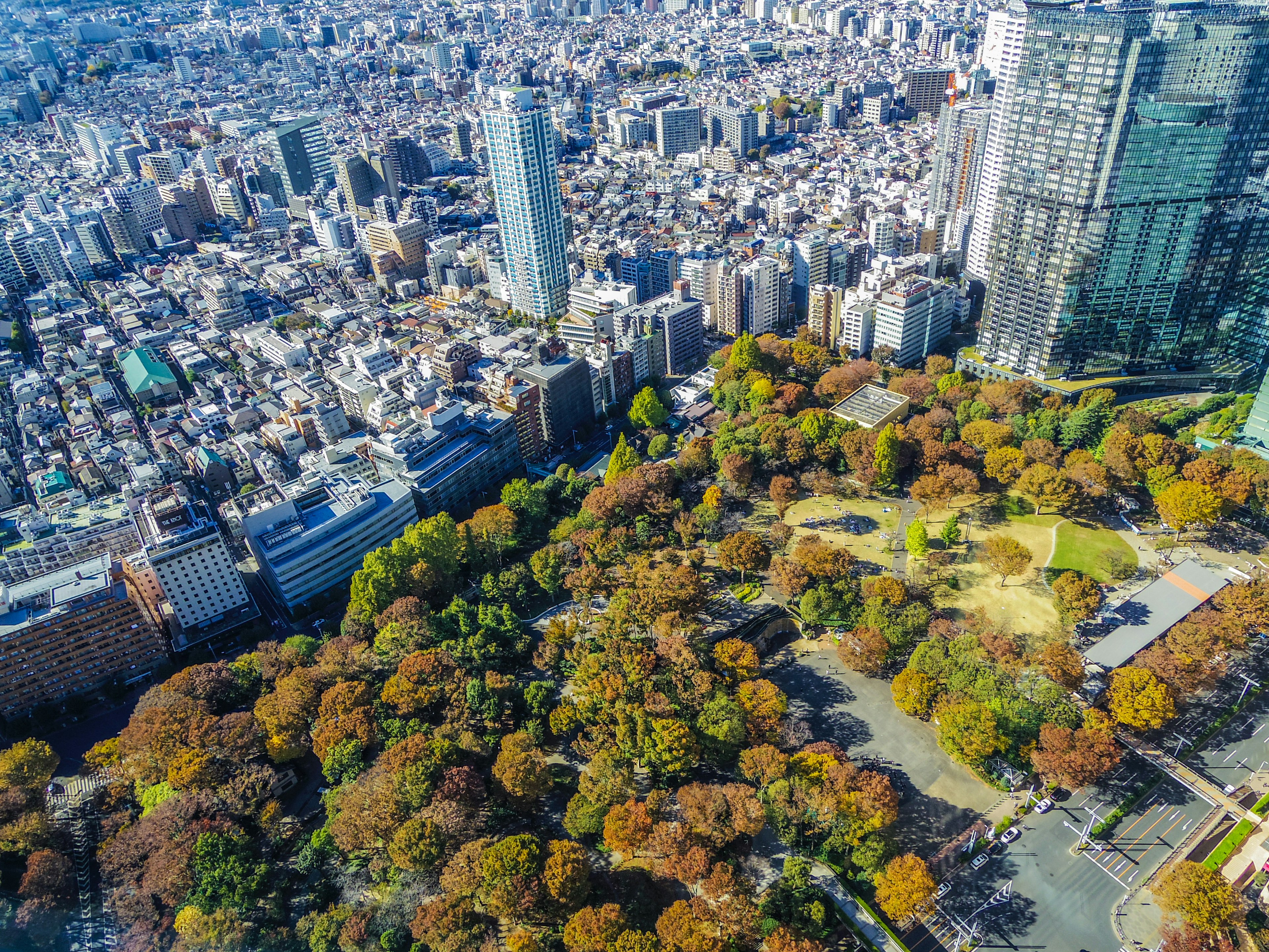 Pemandangan udara Tokyo yang menampilkan gedung pencakar langit dan taman dengan dedaunan musim gugur