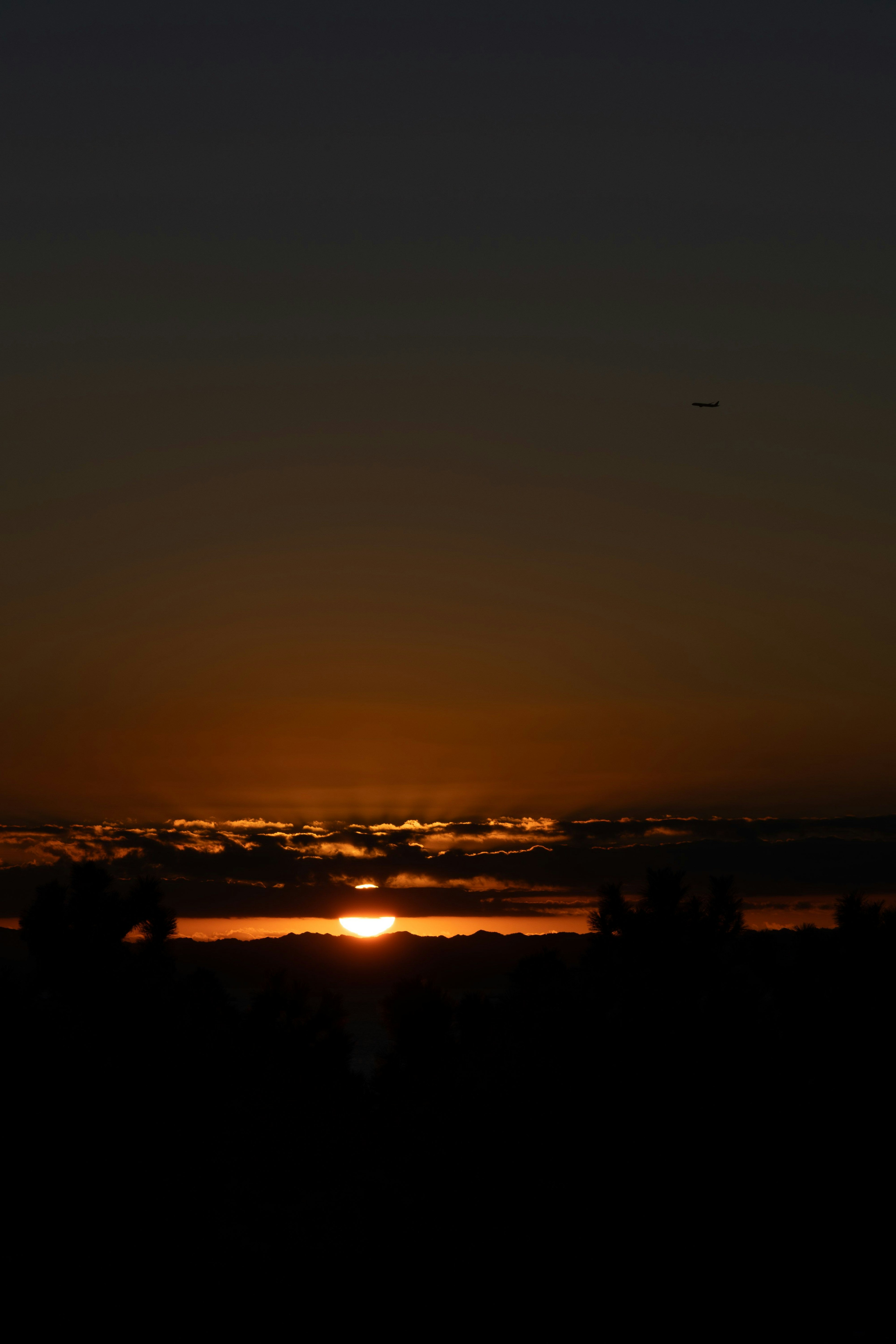 夕日が沈む美しい風景 黒いシルエットの木々とオレンジ色の空