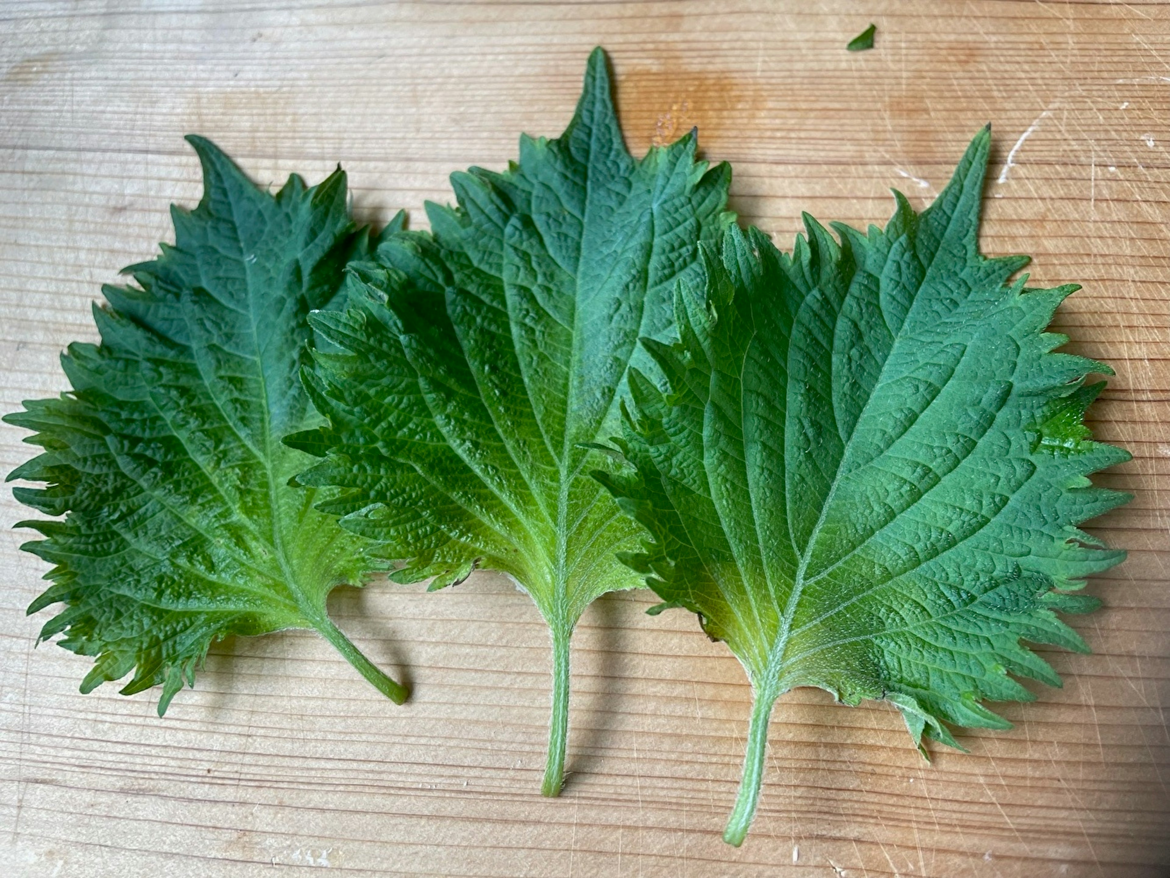 Fresh perilla leaves arranged on a wooden cutting board