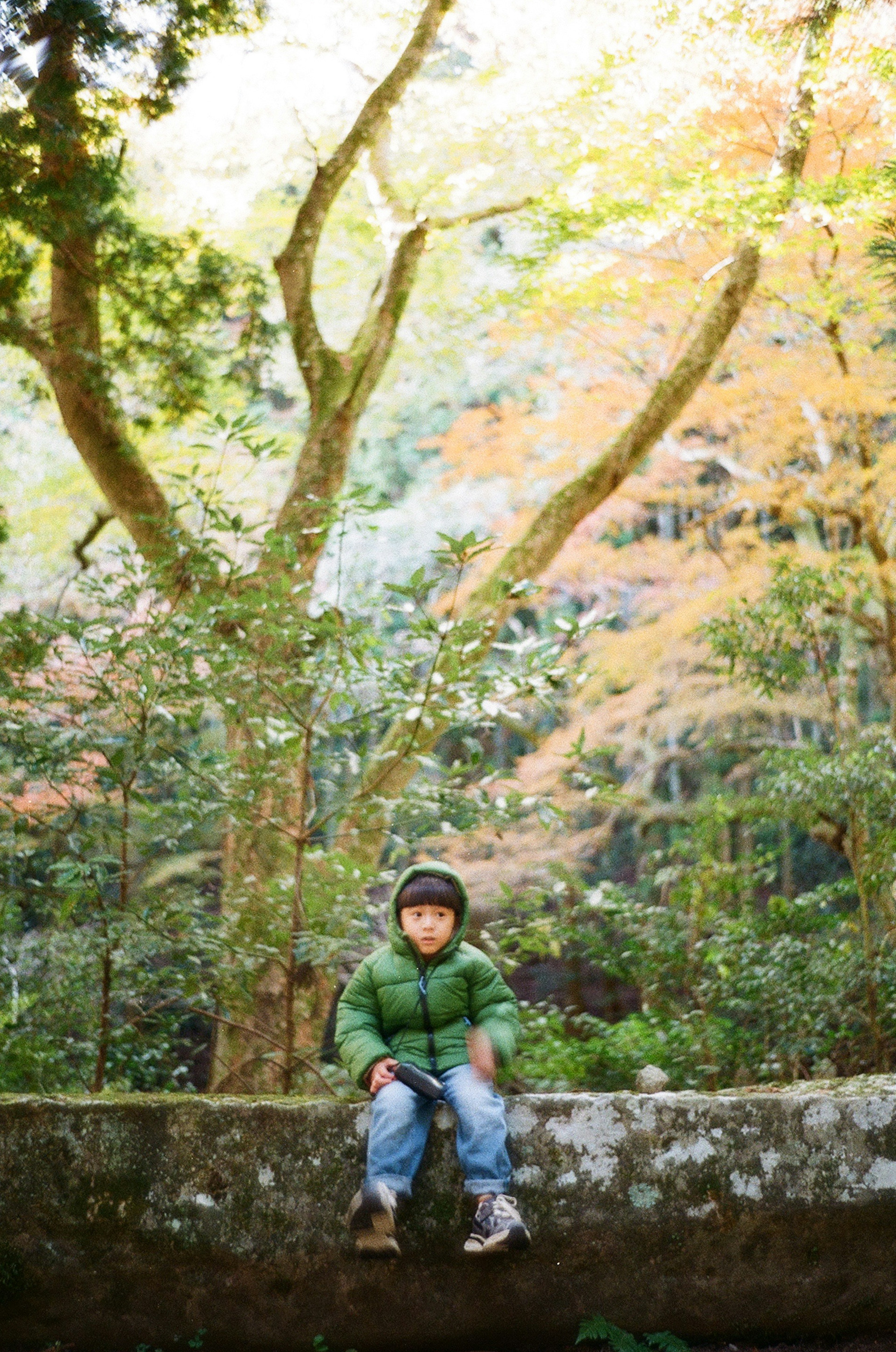 Un bambino con giacca verde seduto su un tronco in una foresta autunnale