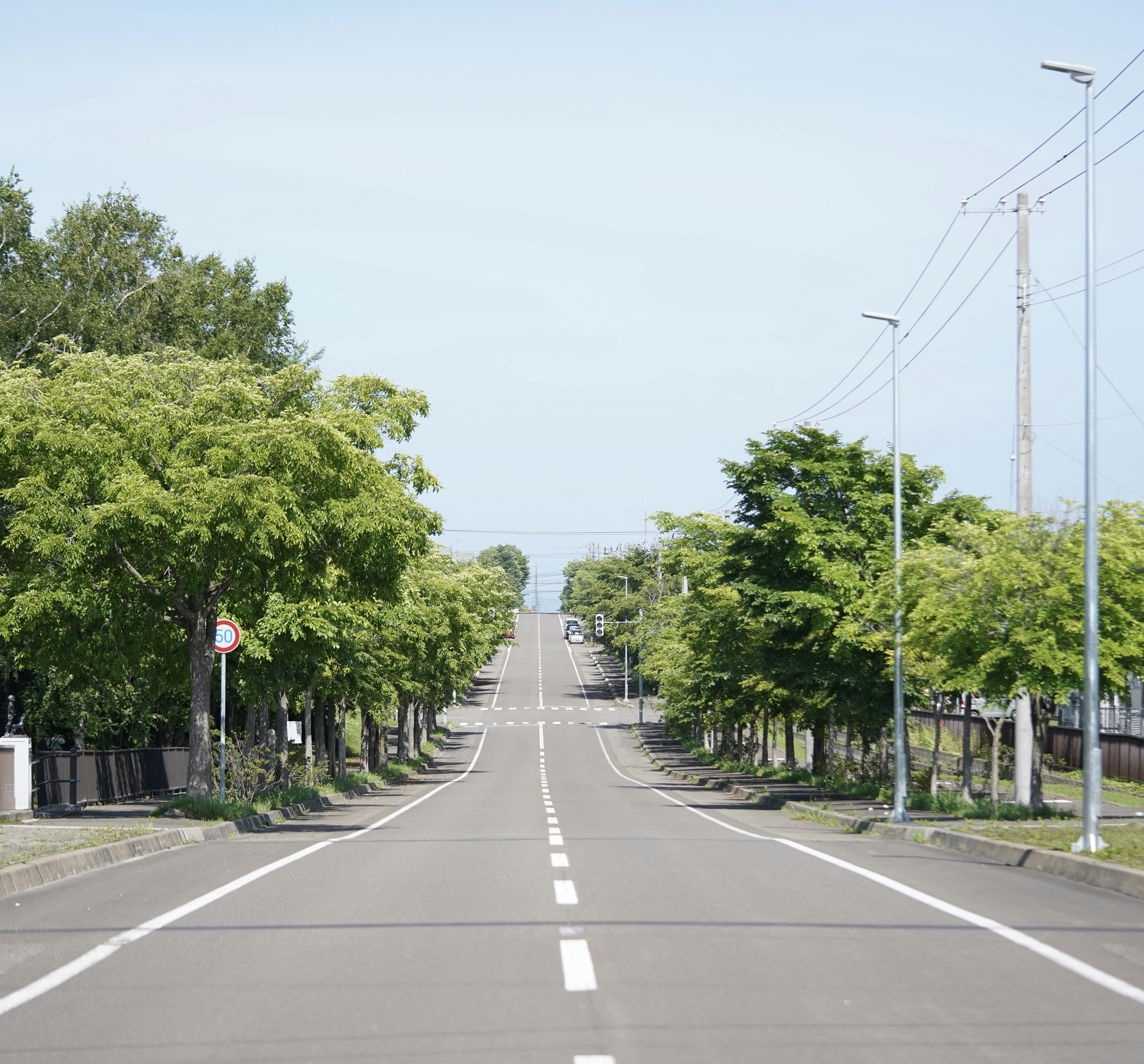 A quiet road lined with green trees extending into the distance