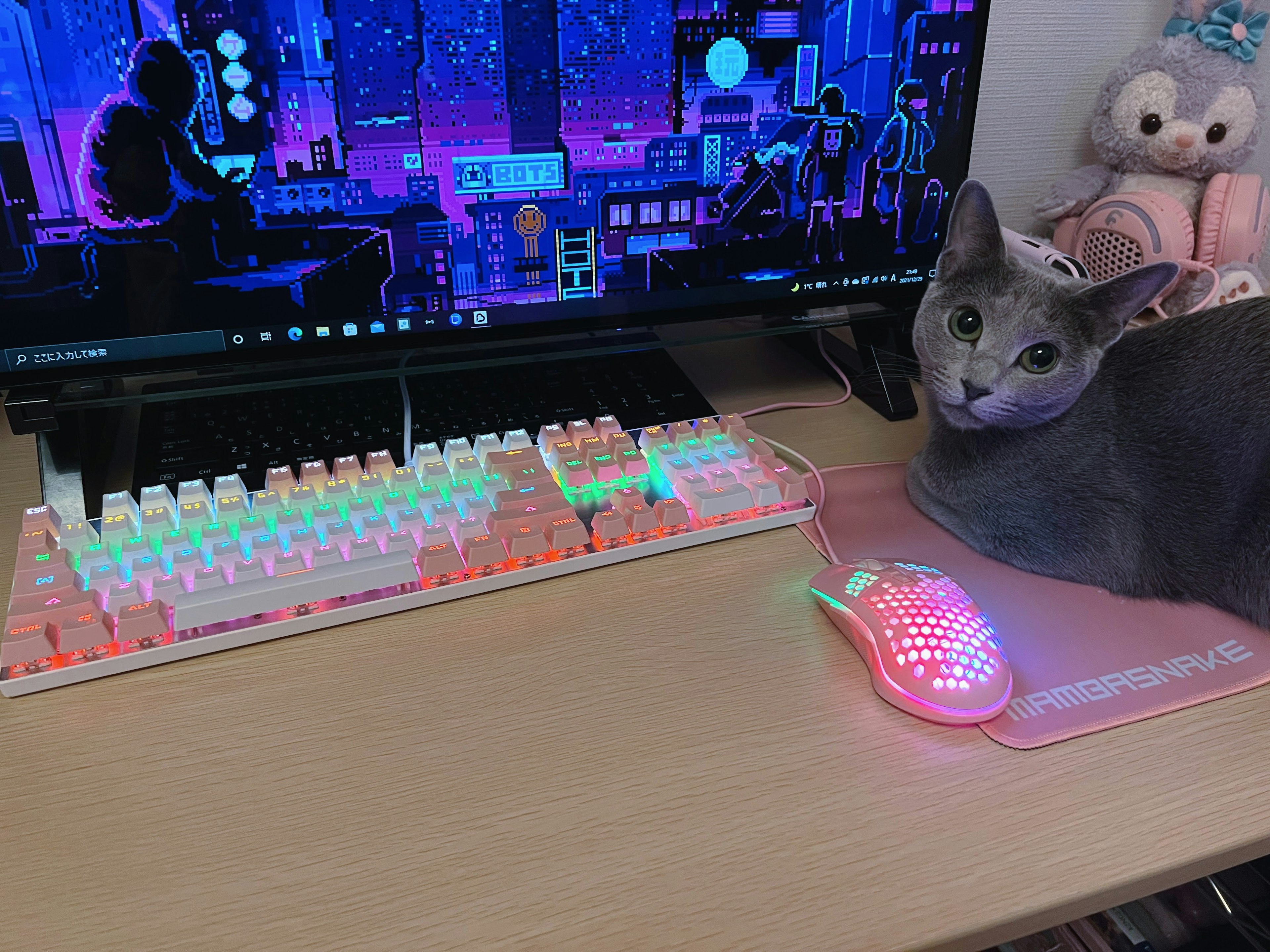 Gray cat resting next to a colorful keyboard and mouse with a vibrant digital art background