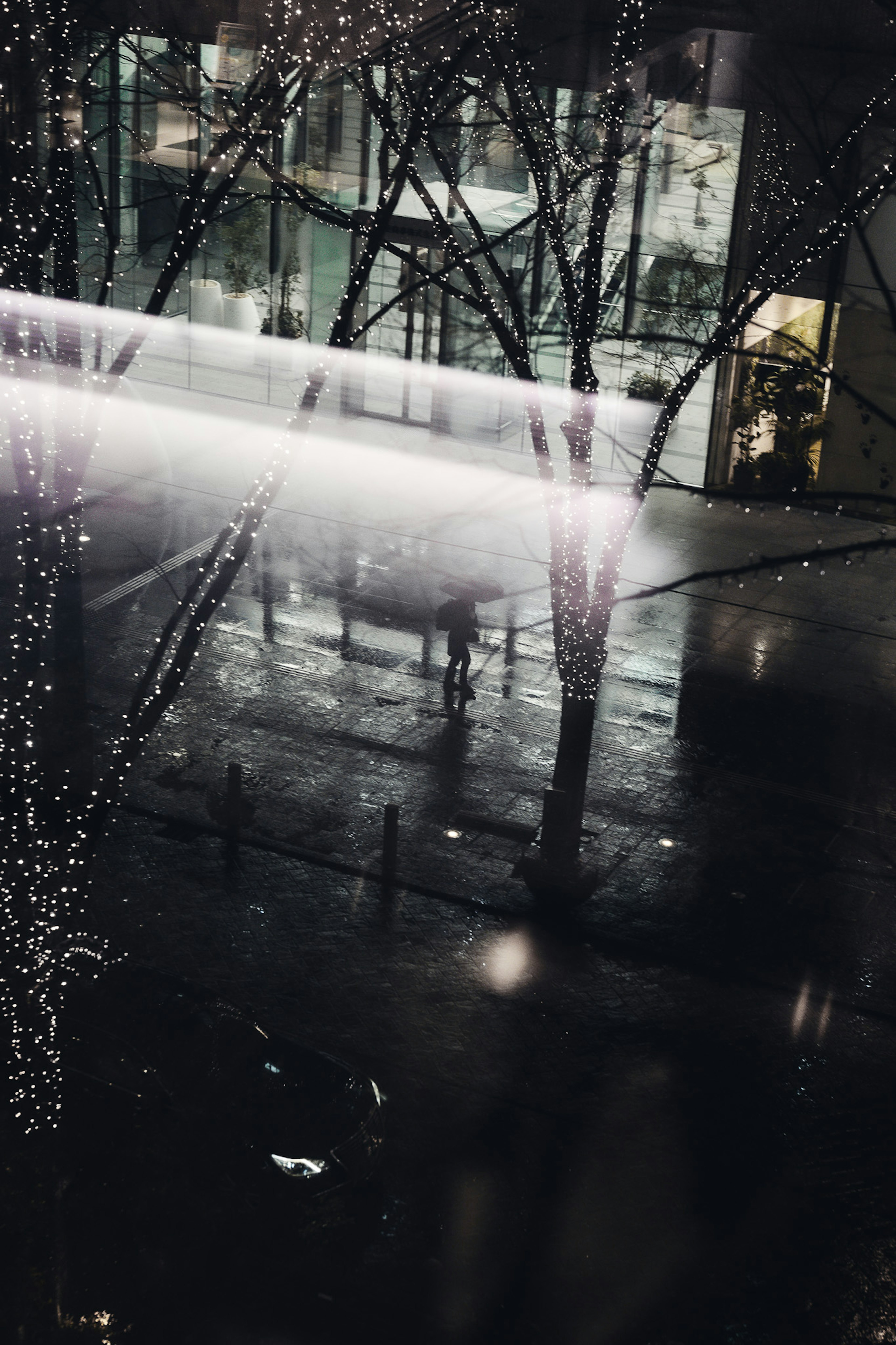 Rain-soaked city scene with silhouette of trees