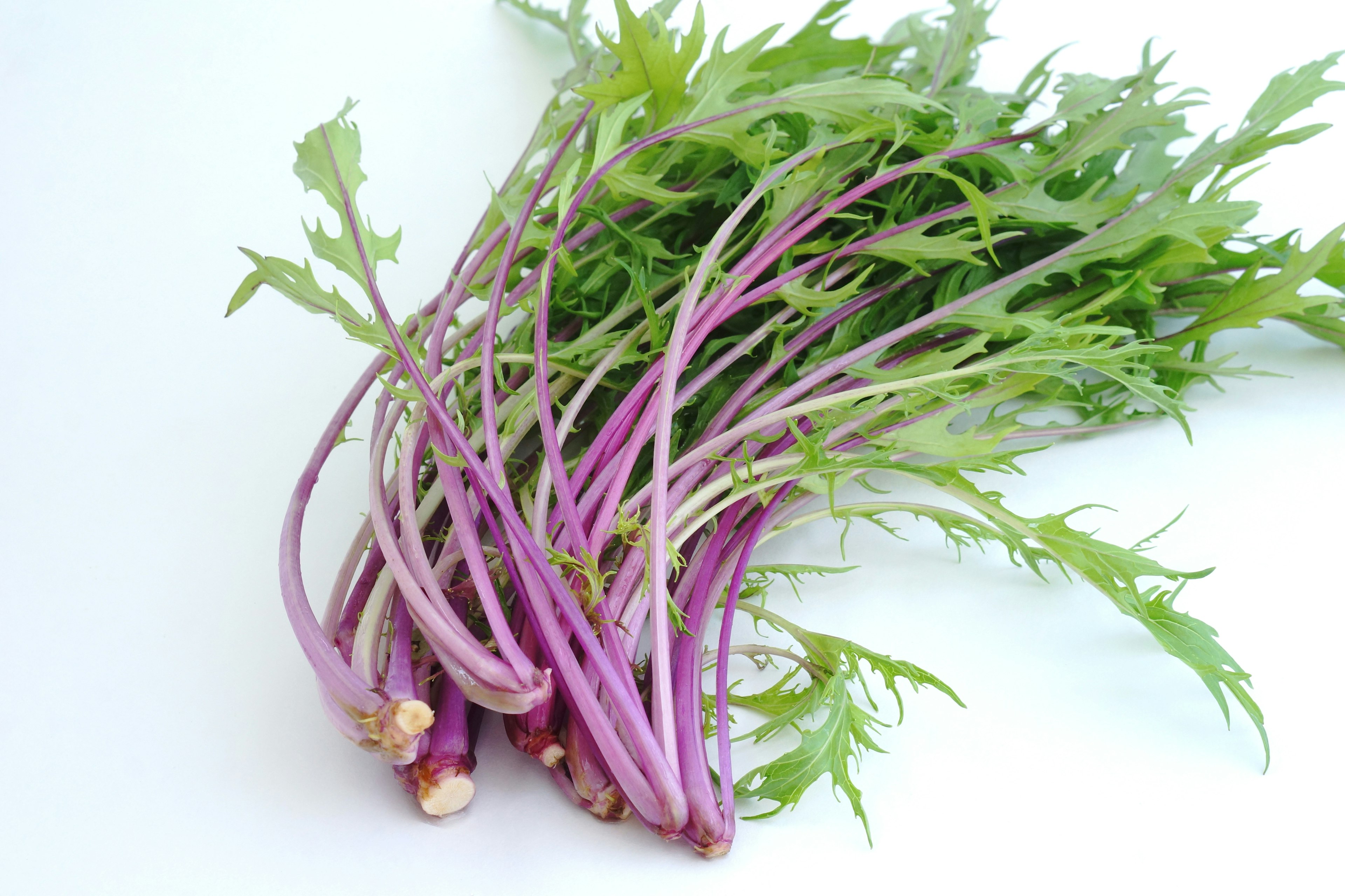 Un manojo de verduras con tallos morados y hojas verdes