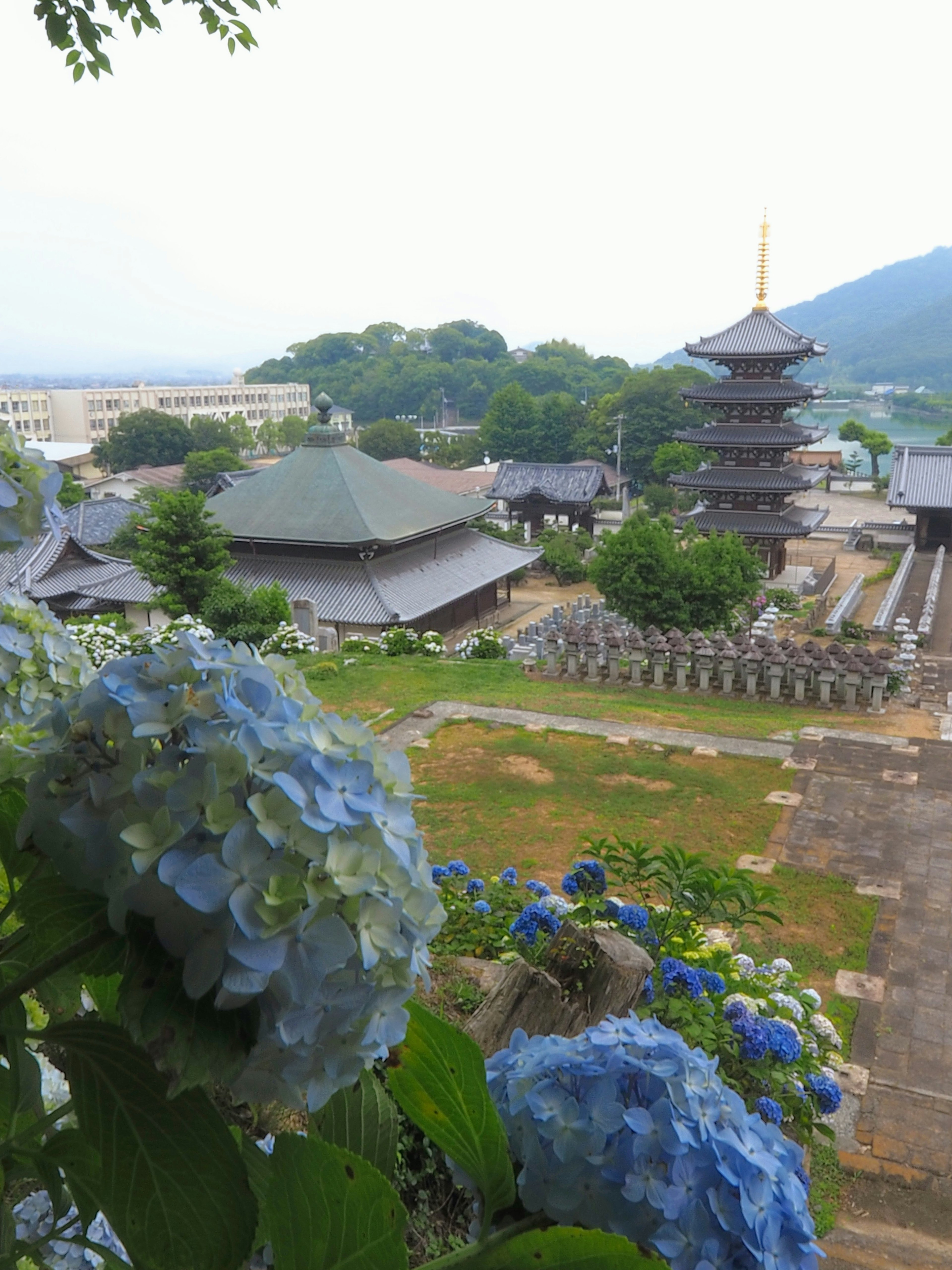 Vista di un paesaggio templare con ortensie blu e una pagoda