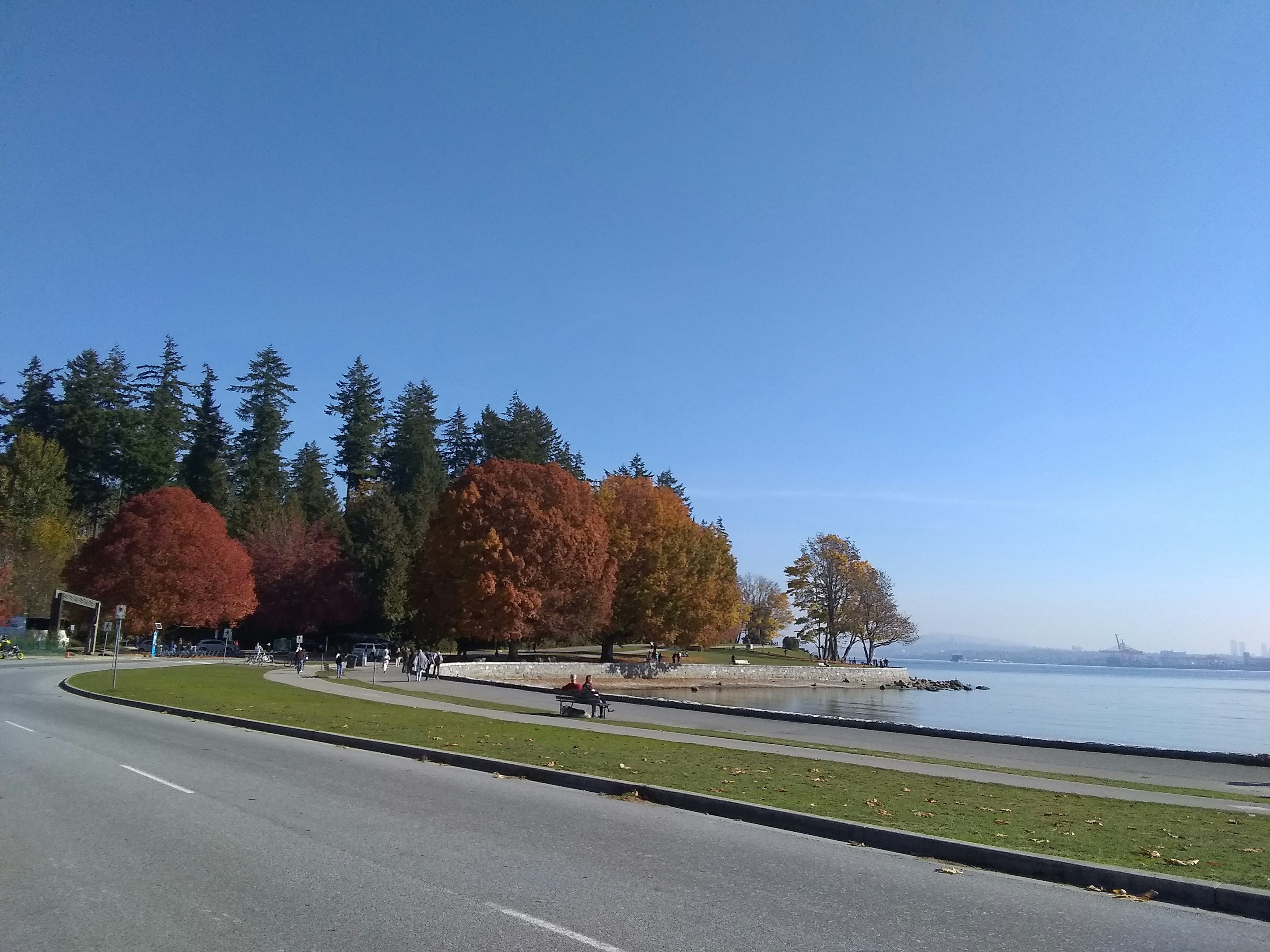 海岸線旁有五彩斑斕秋天樹木的公園風景