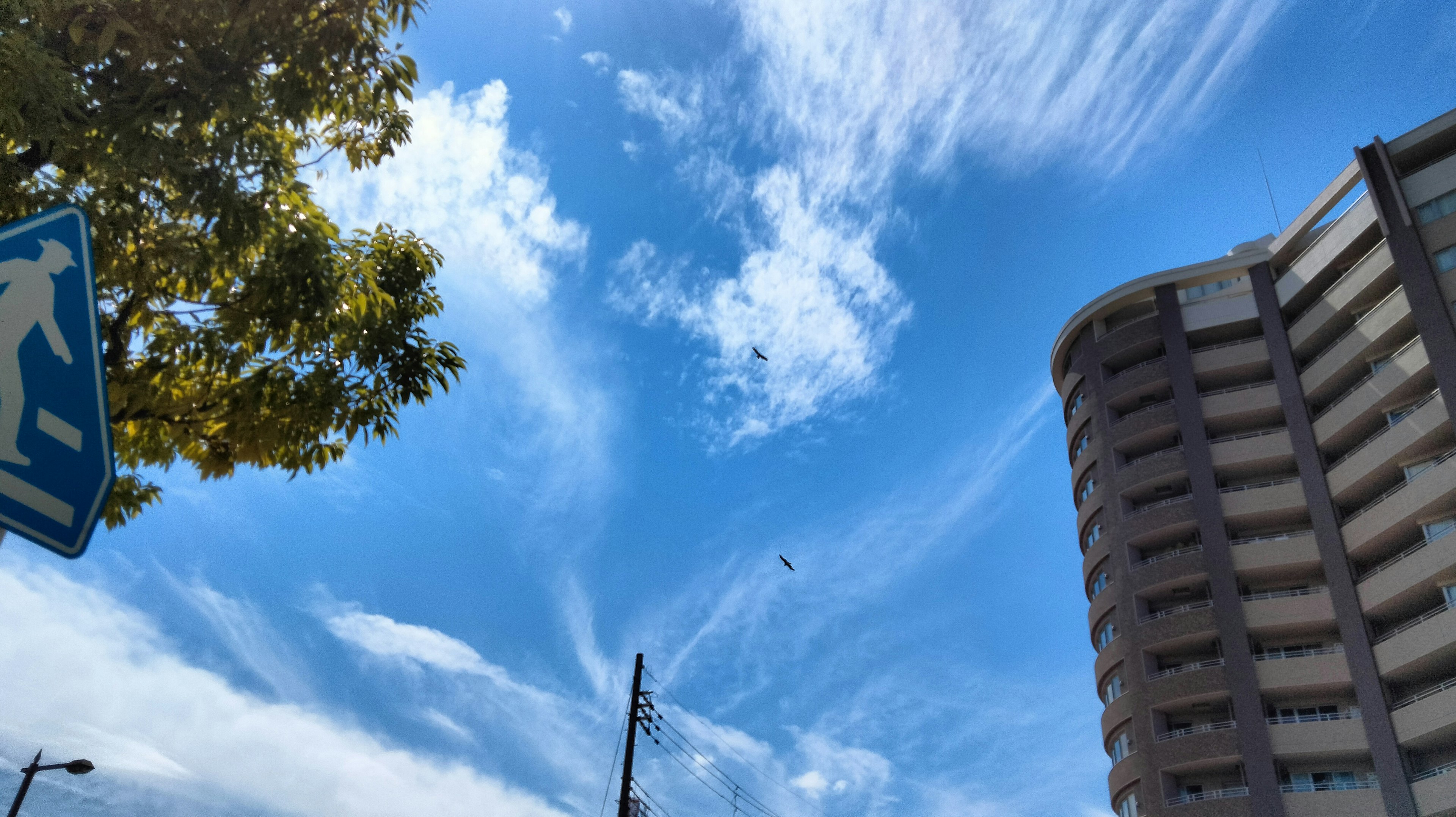 Paesaggio urbano con cielo blu e nuvole e un segnale di attraversamento pedonale