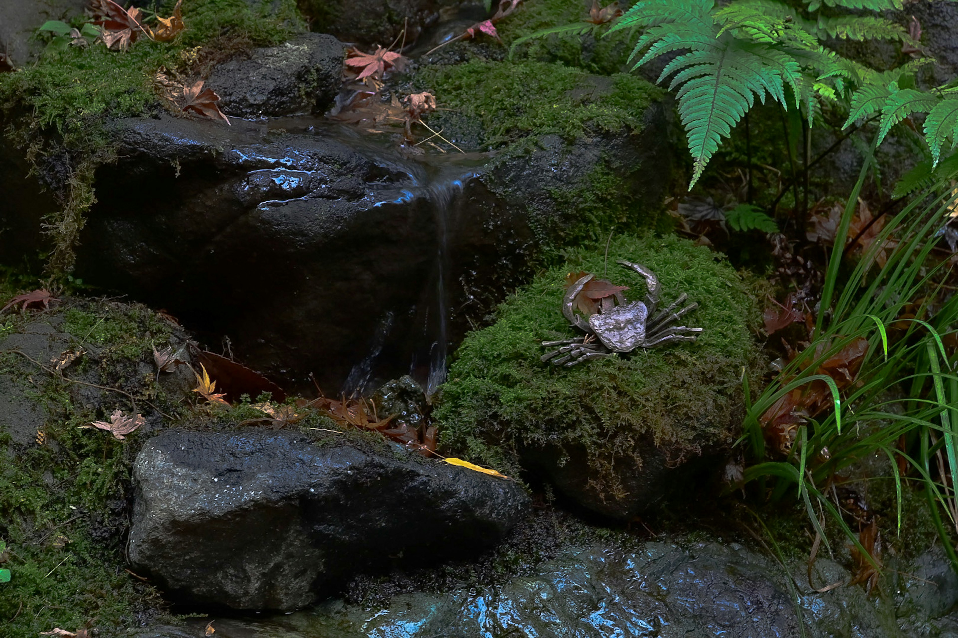 Imagen de un cangrejo cerca de rocas cubiertas de musgo y un pequeño arroyo