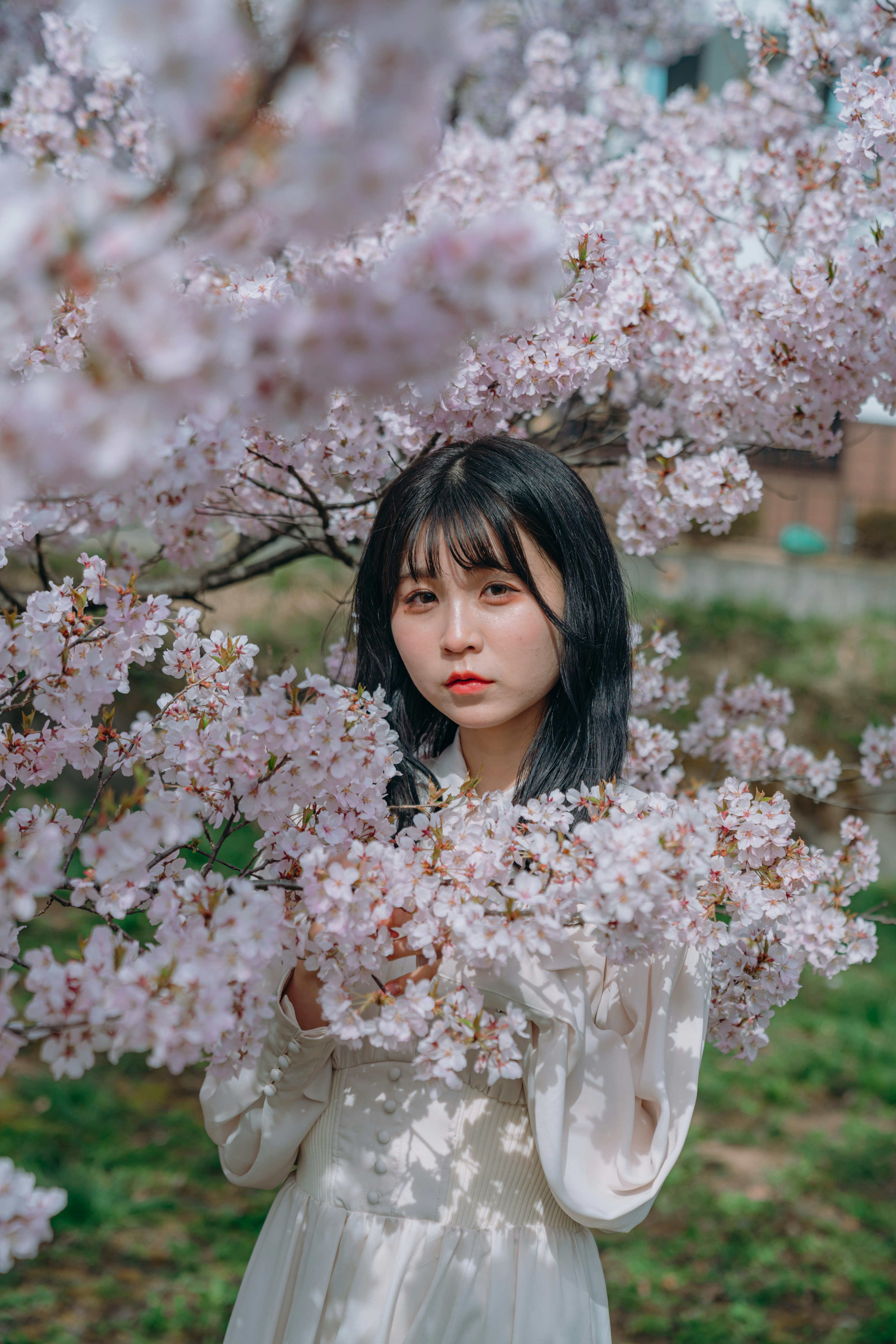 桜の花の間に立つ女性のポートレート