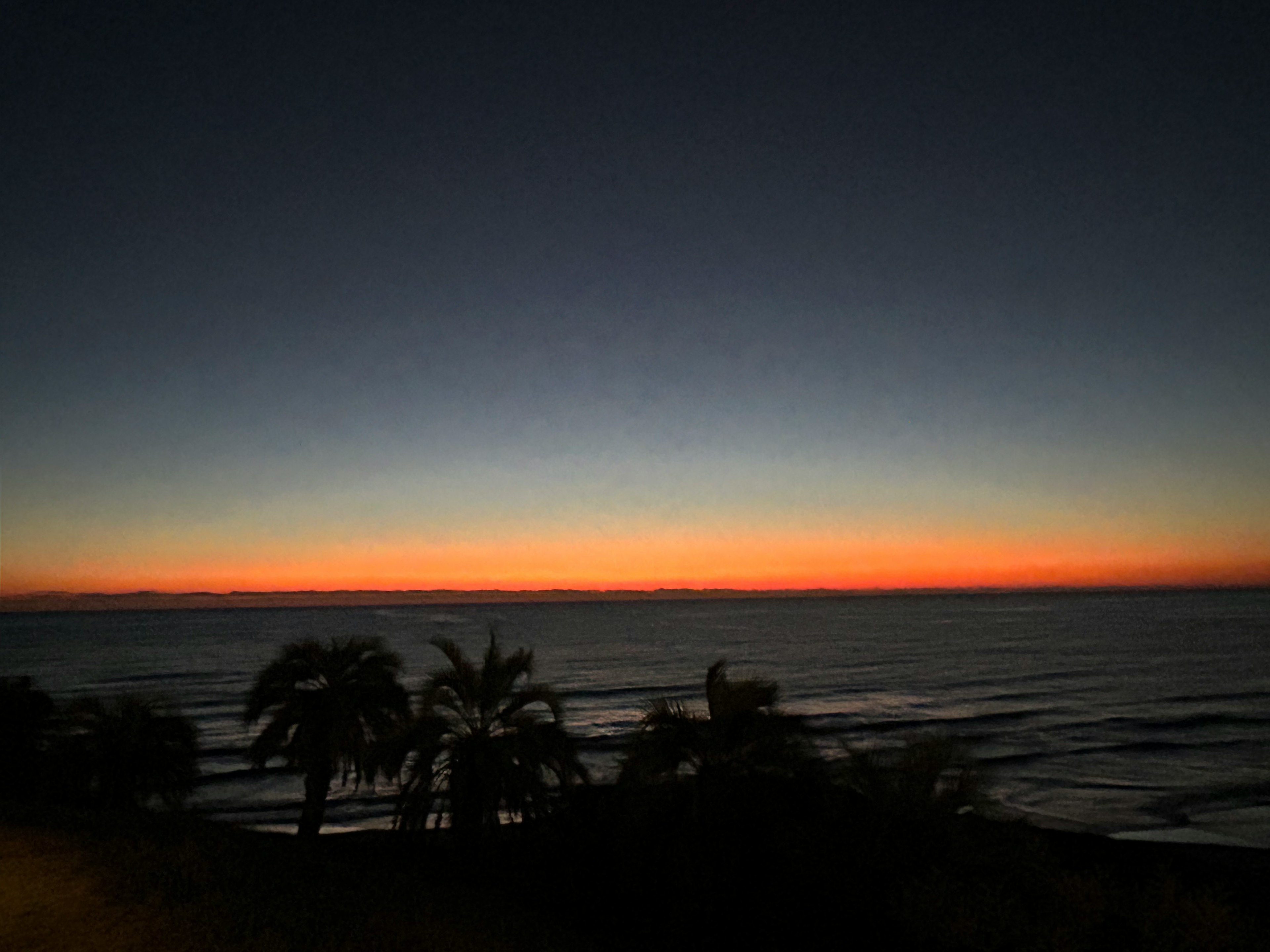 Atardecer sobre el océano con palmeras en silueta