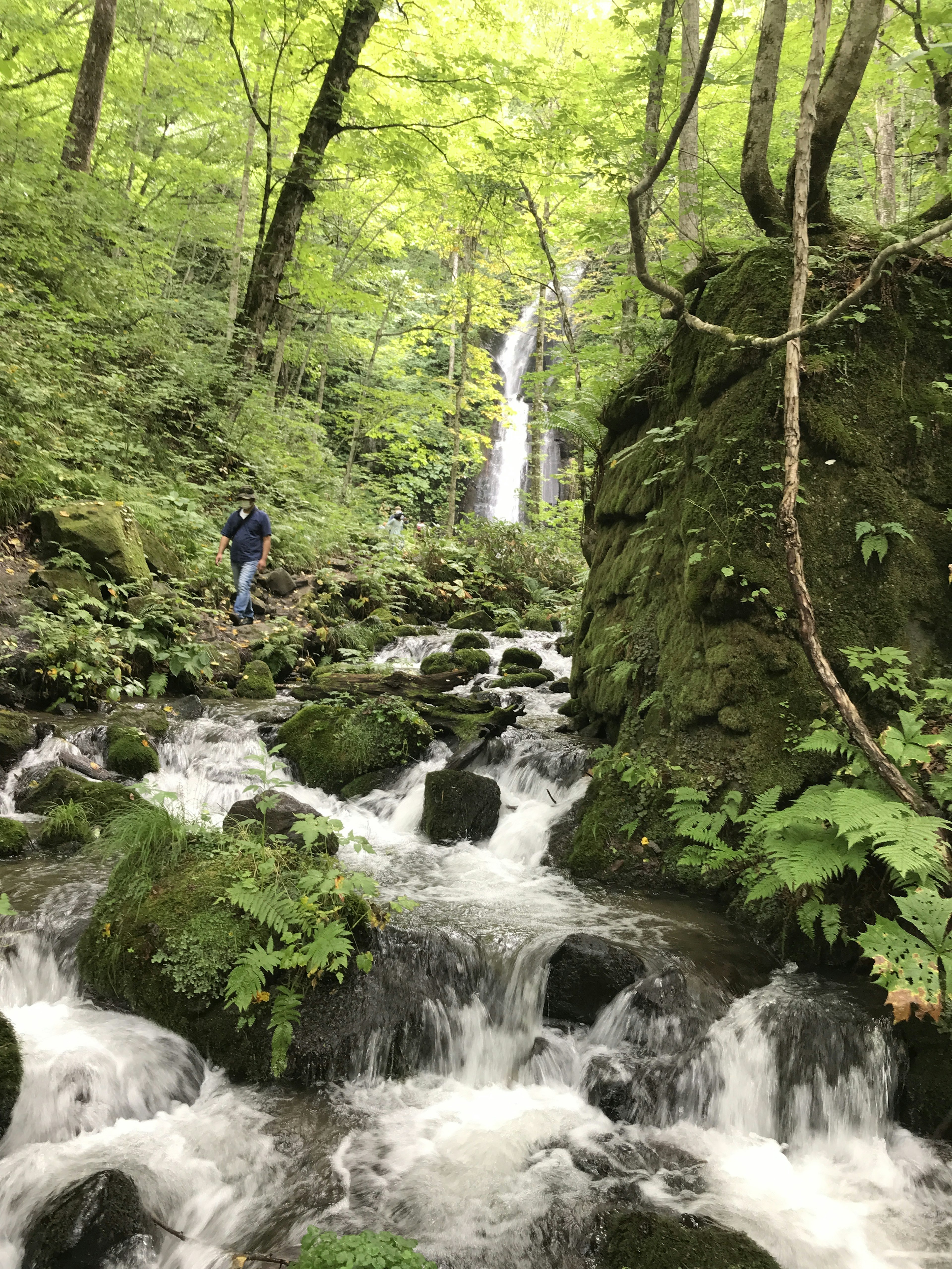 Scenic view of a stream flowing through a lush forest with a waterfall in the background and a person standing nearby