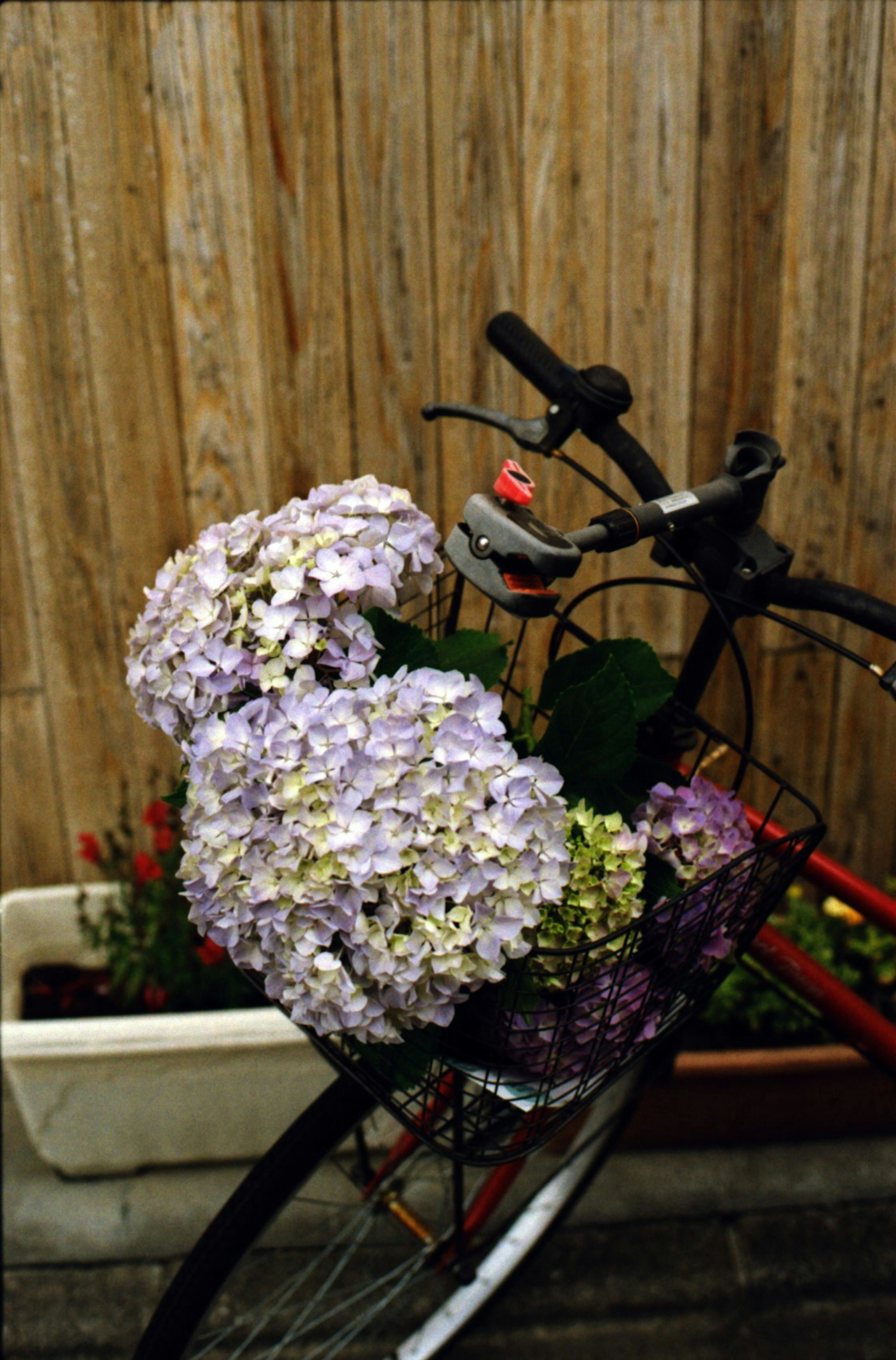 Una bicicleta con una cesta llena de hortensias y un fondo de madera