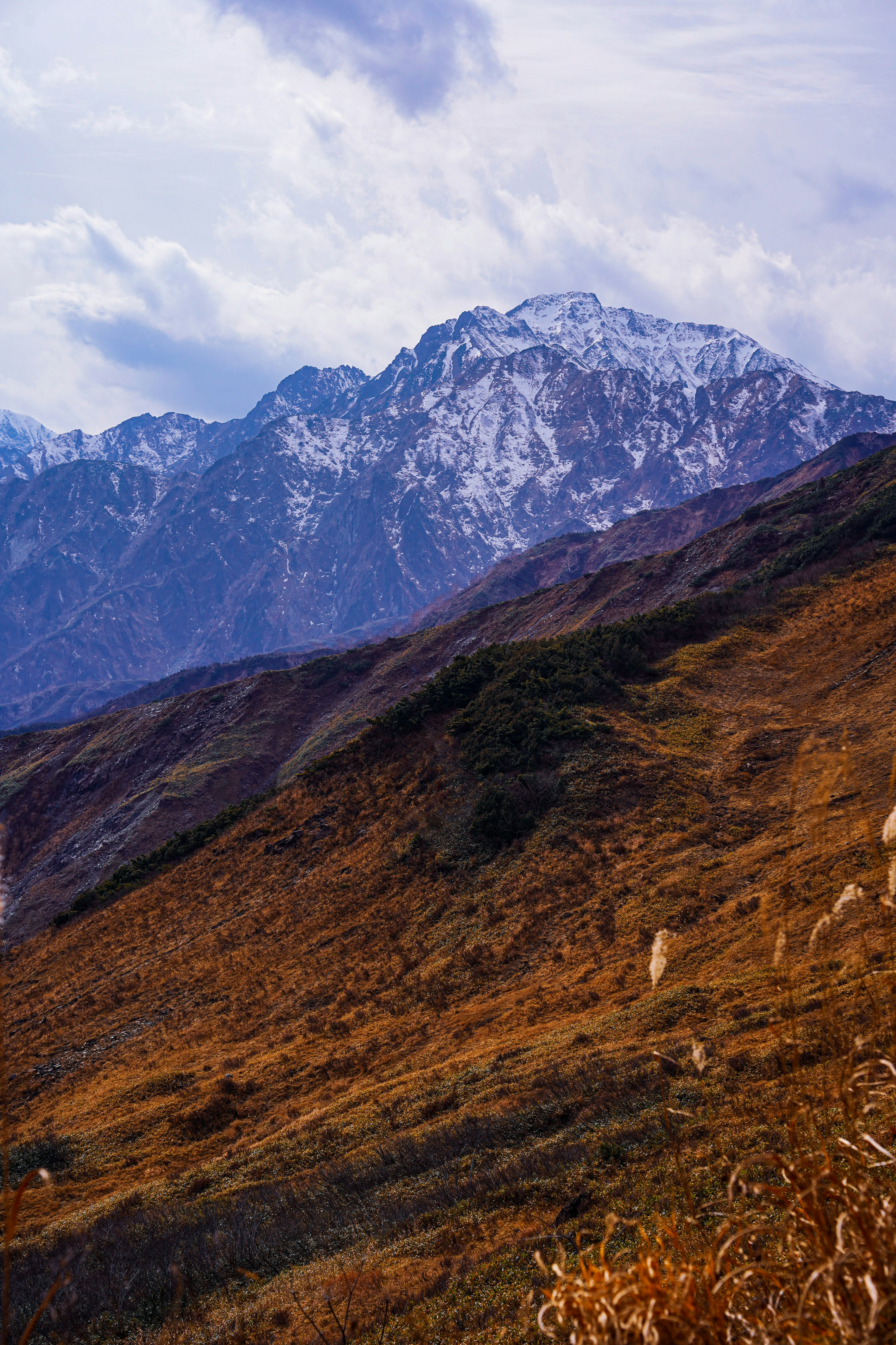 Paysage avec des montagnes enneigées et des collines ondulantes