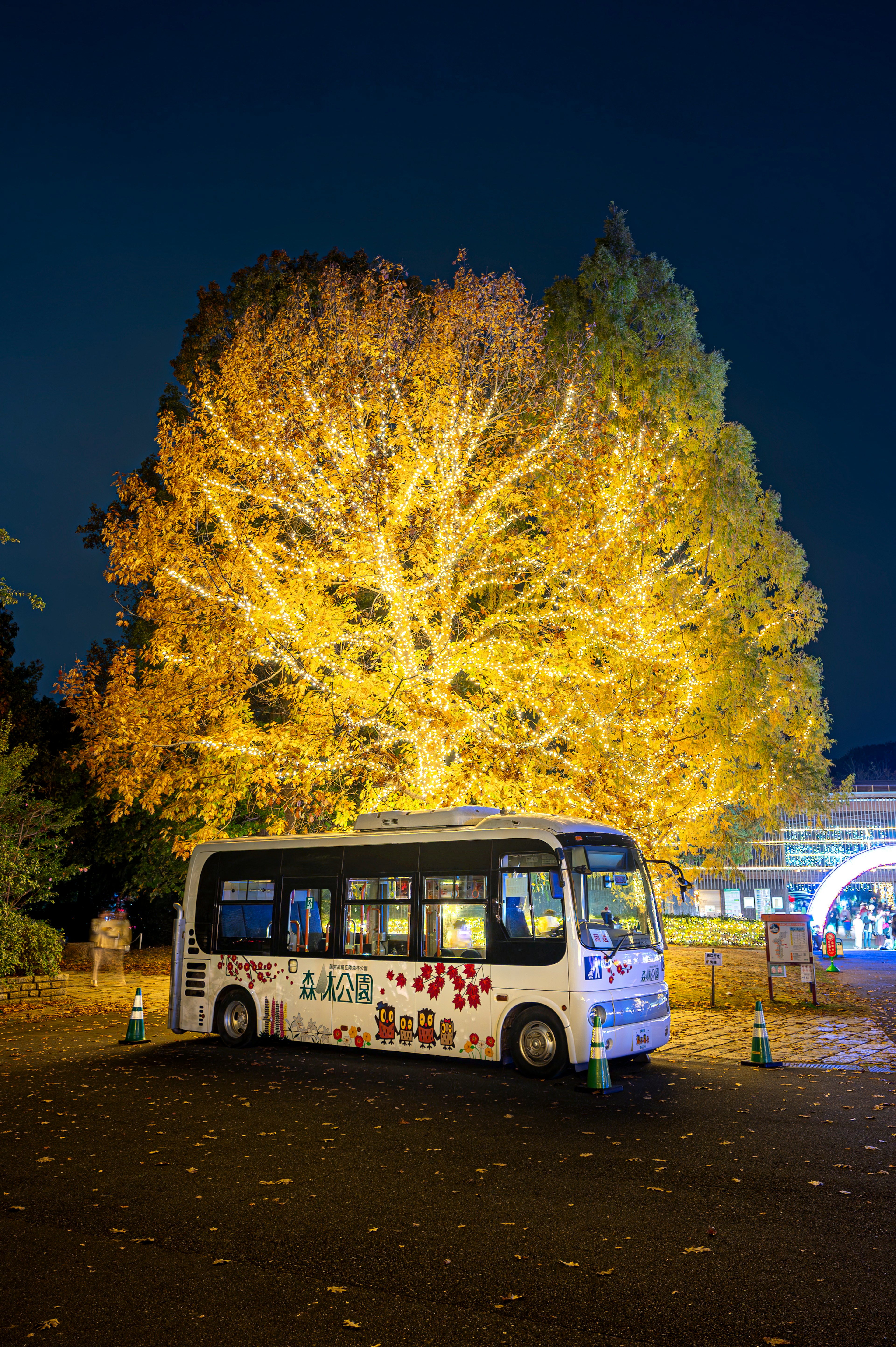 夜の公園にある装飾されたバスと黄金色の木