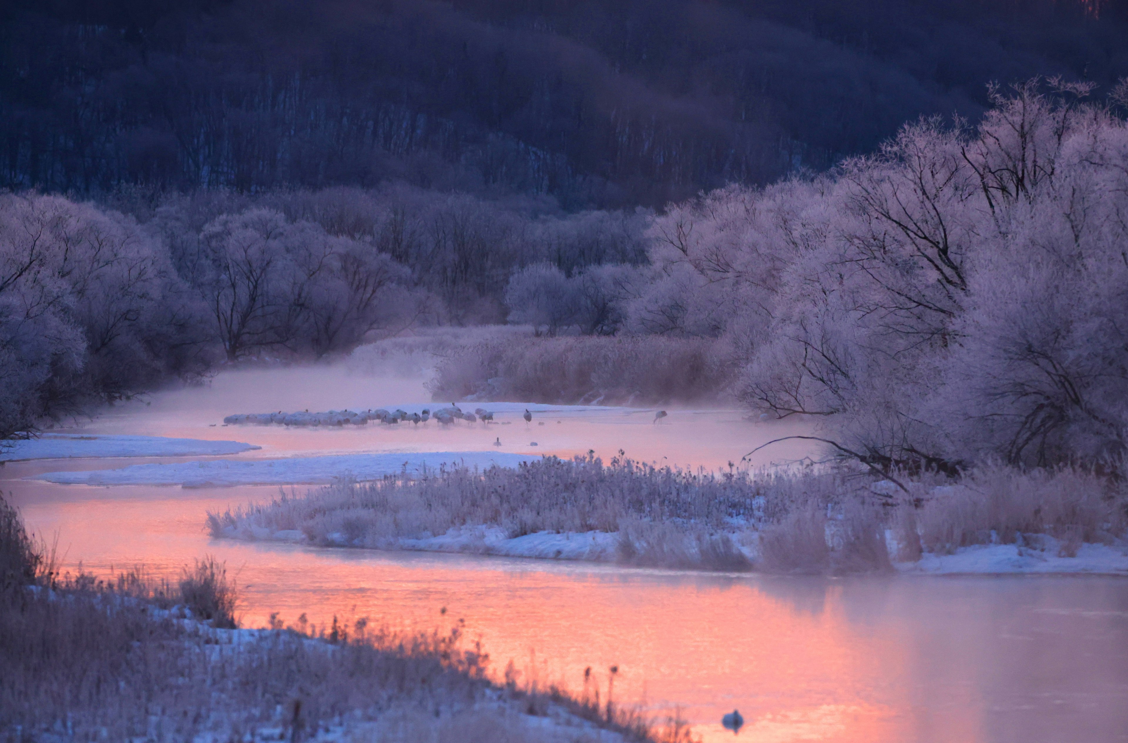 Winterlandschaft mit gefrorenen Bäumen, ruhige Wasseroberfläche, sanfte Farben des Sonnenuntergangs