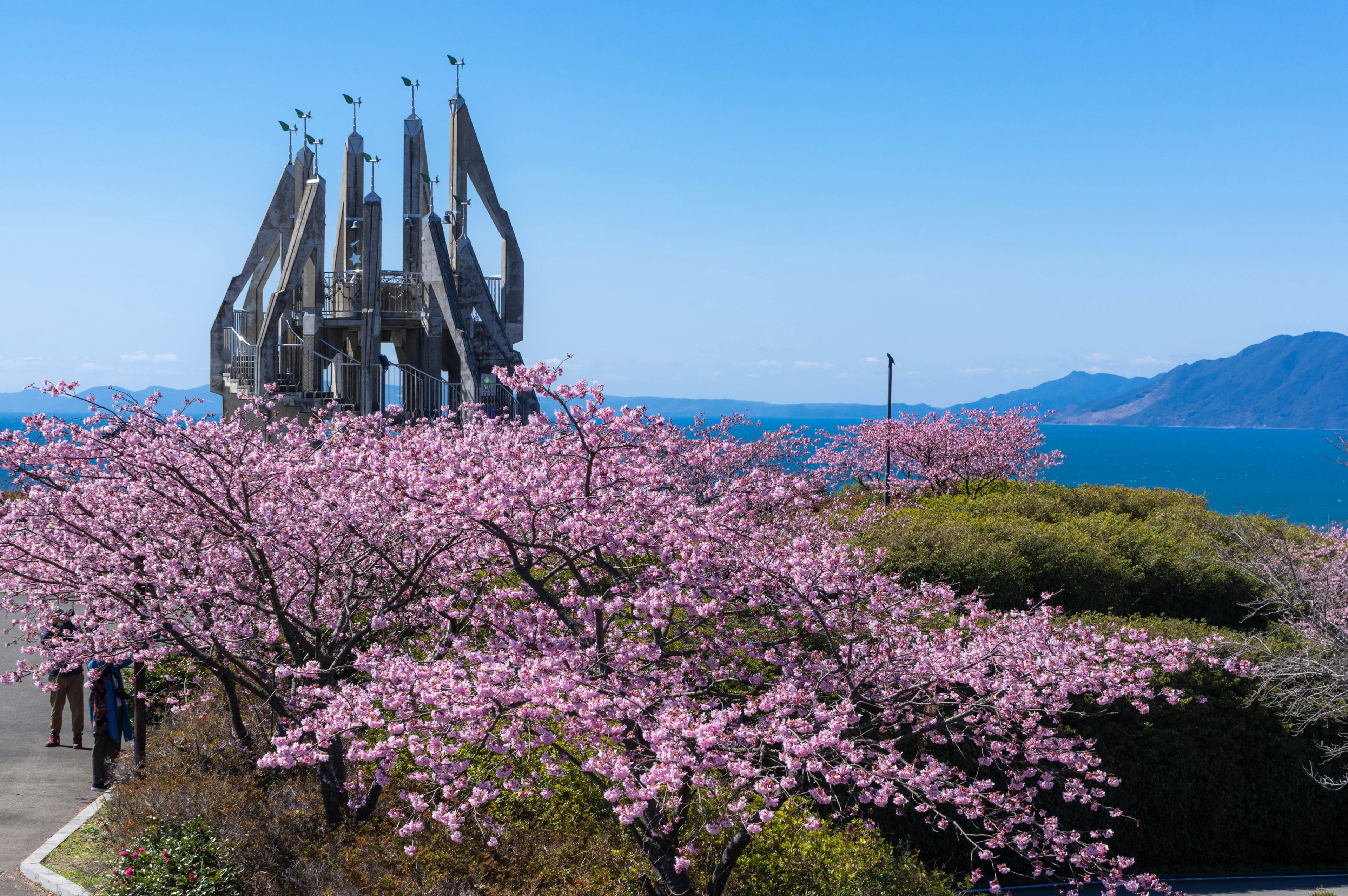 View of cherry blossom trees and a modern sculpture by the sea