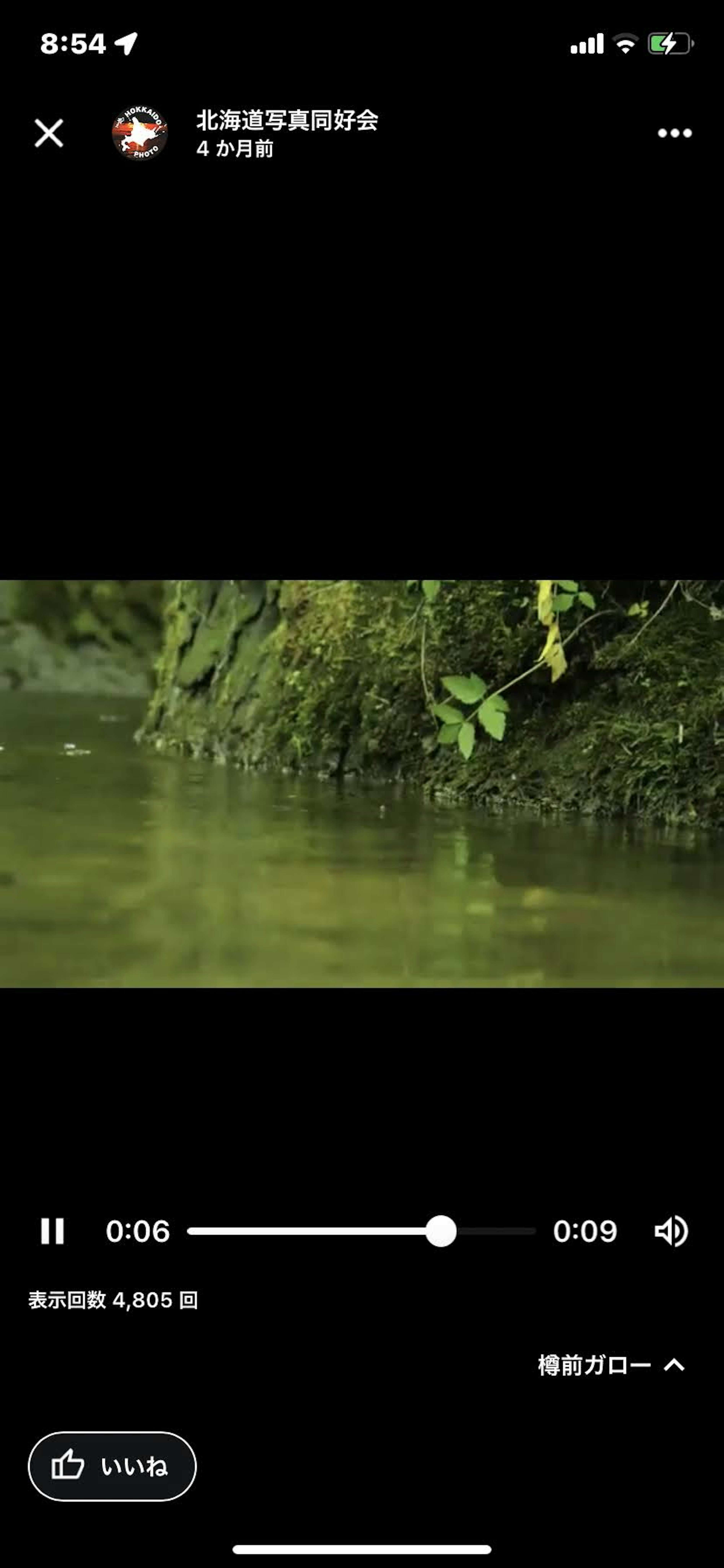 水面に映る緑の植物と静かな水の風景