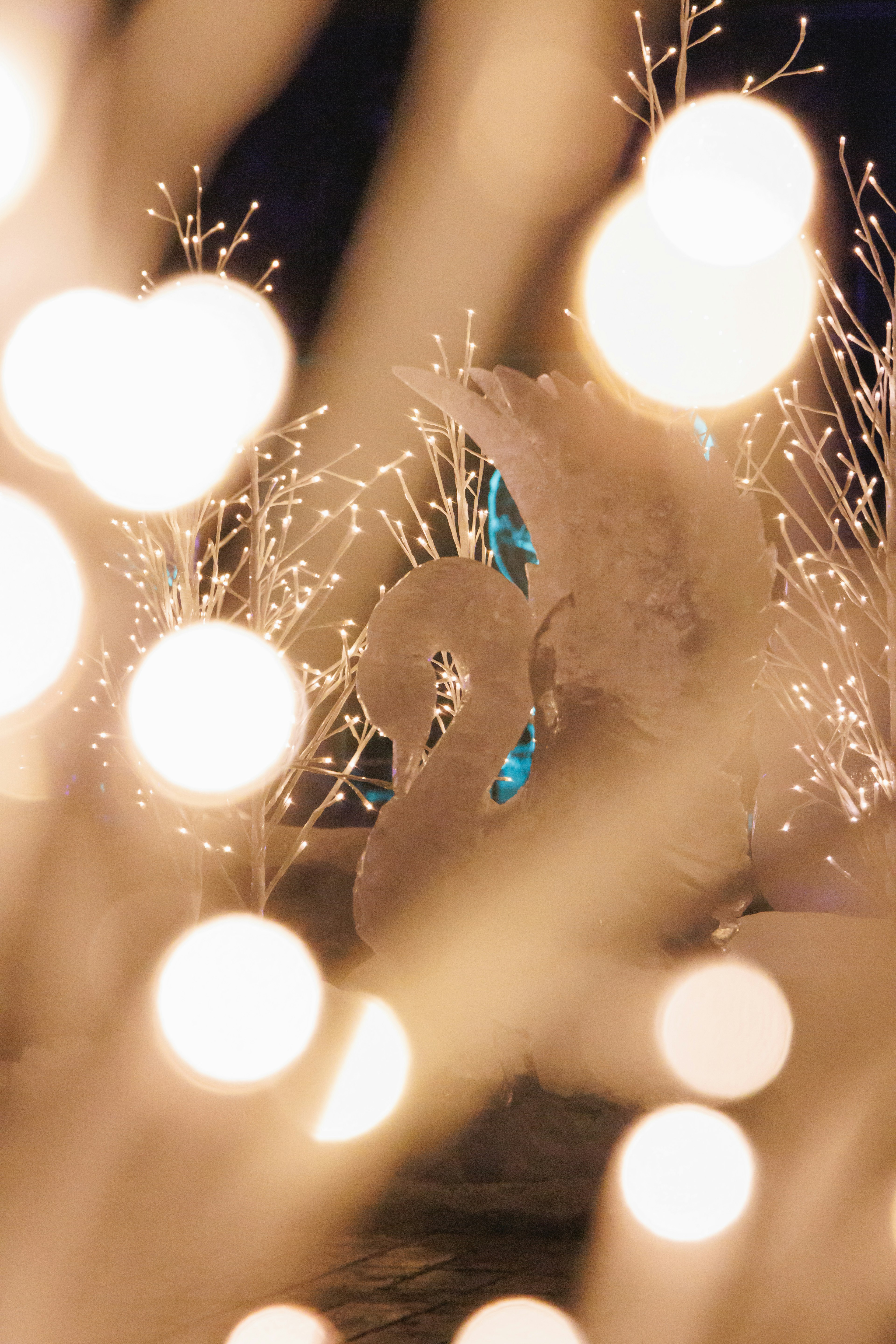 Dreamy white swan with decorative lights in a nighttime scene