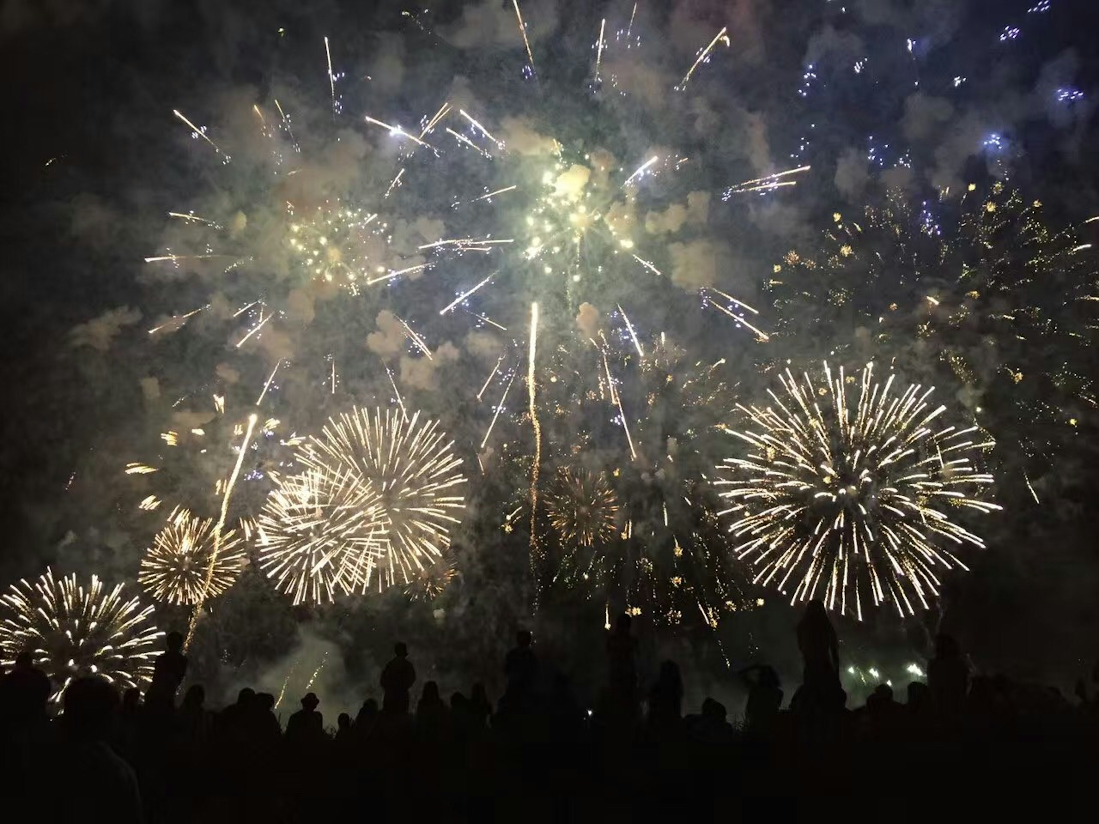 Fuochi d'artificio colorati che esplodono nel cielo notturno con silhouette di spettatori