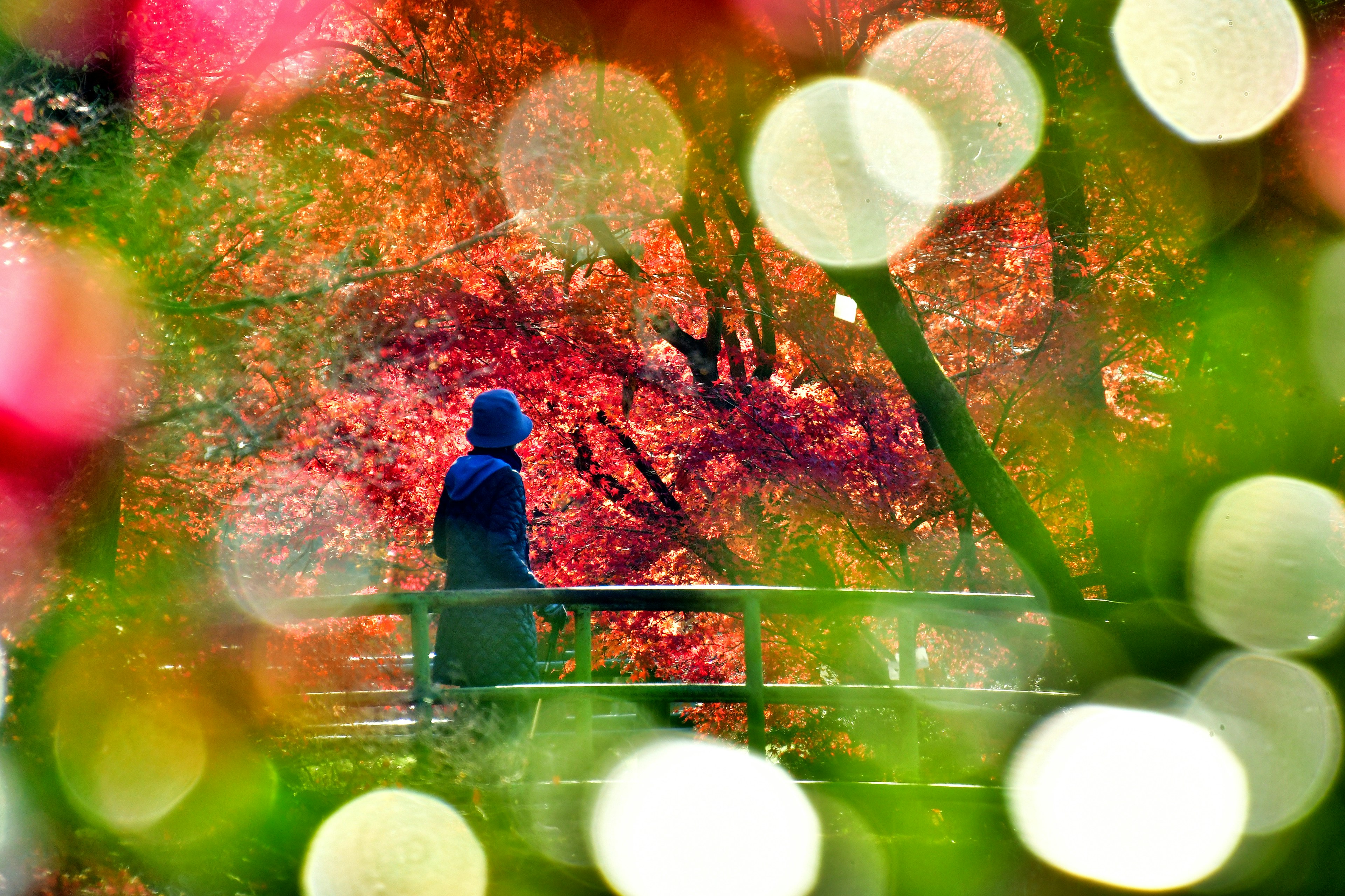 A figure standing on a bridge surrounded by vibrant autumn colors