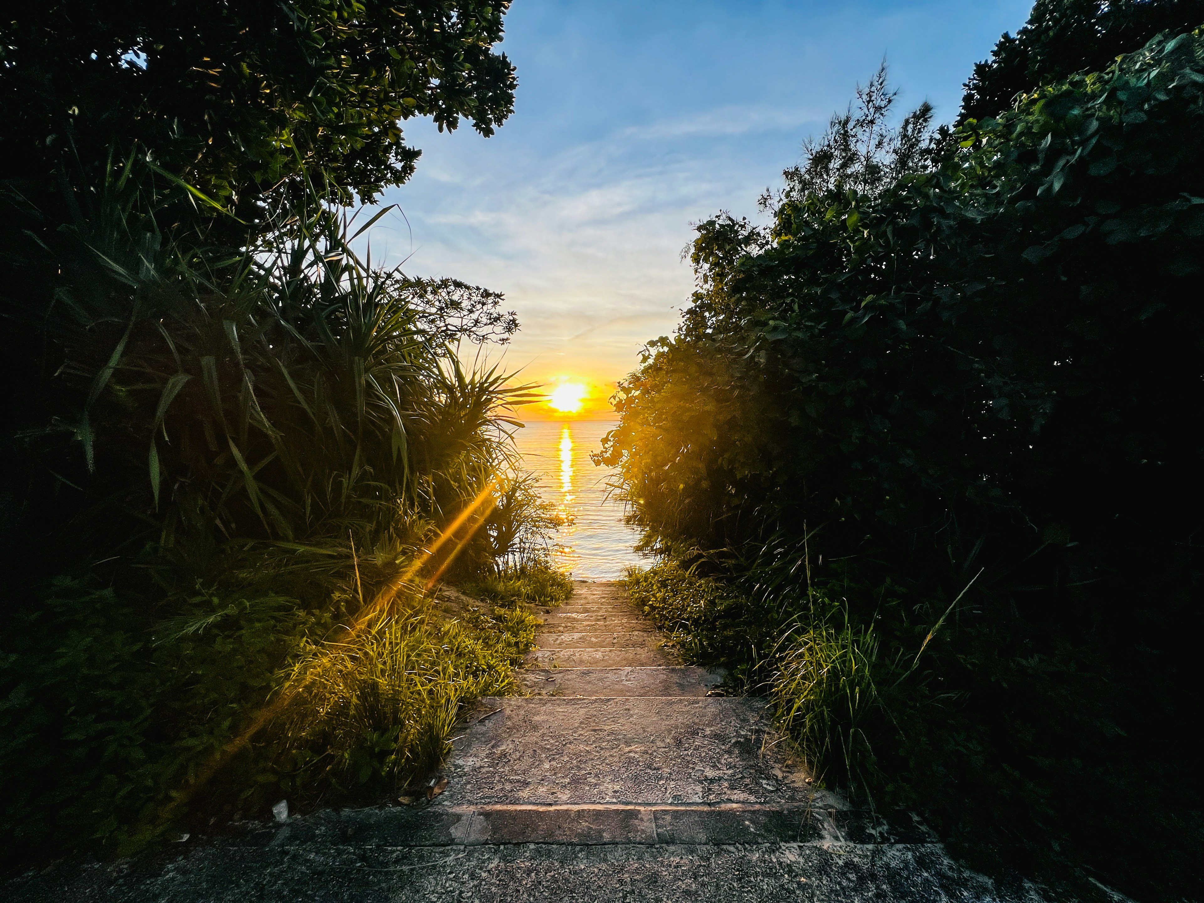 Sentiero panoramico che porta al mare con un bellissimo tramonto