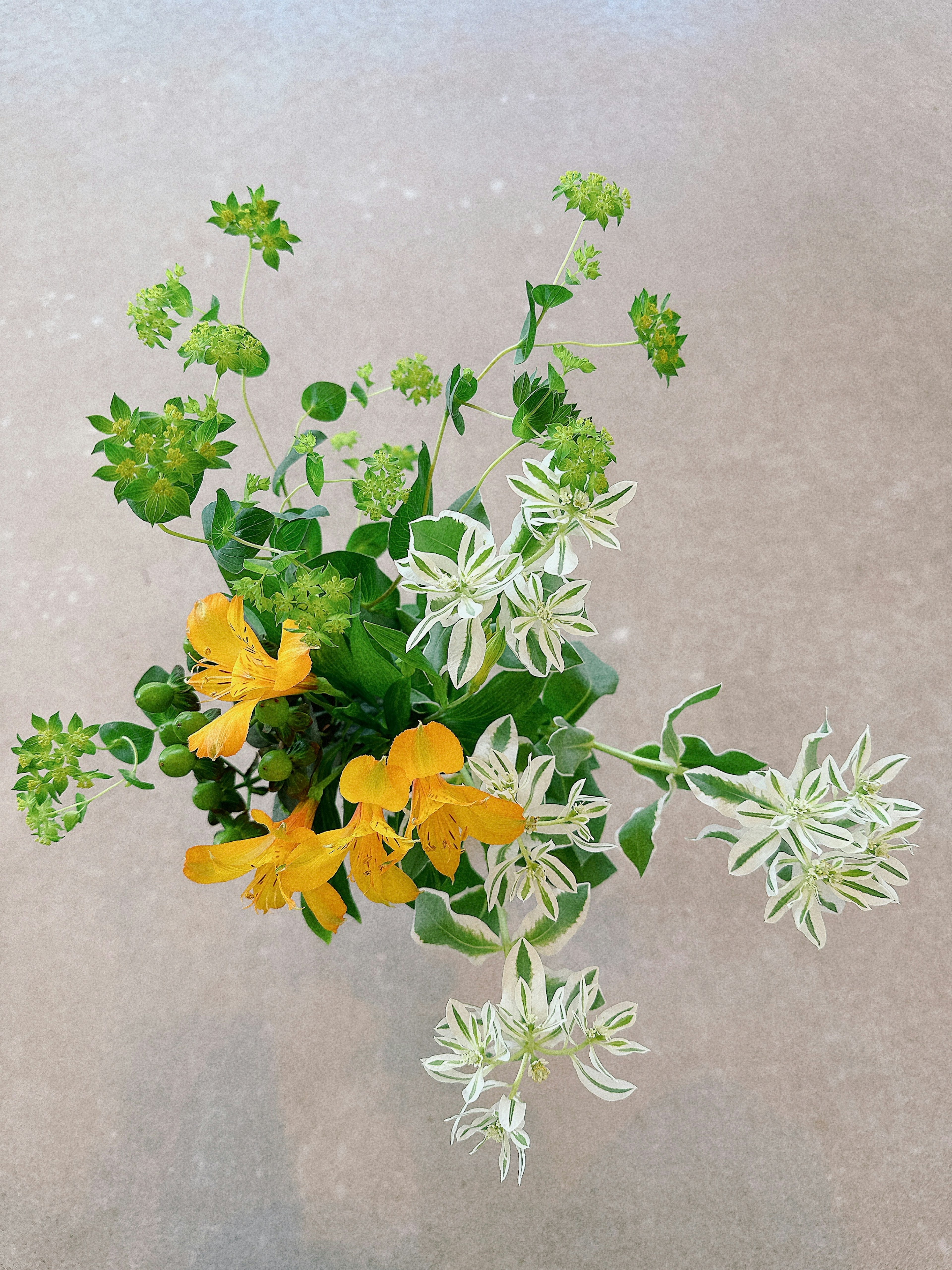 Composizione di fiori gialli e bianchi con fogliame verde