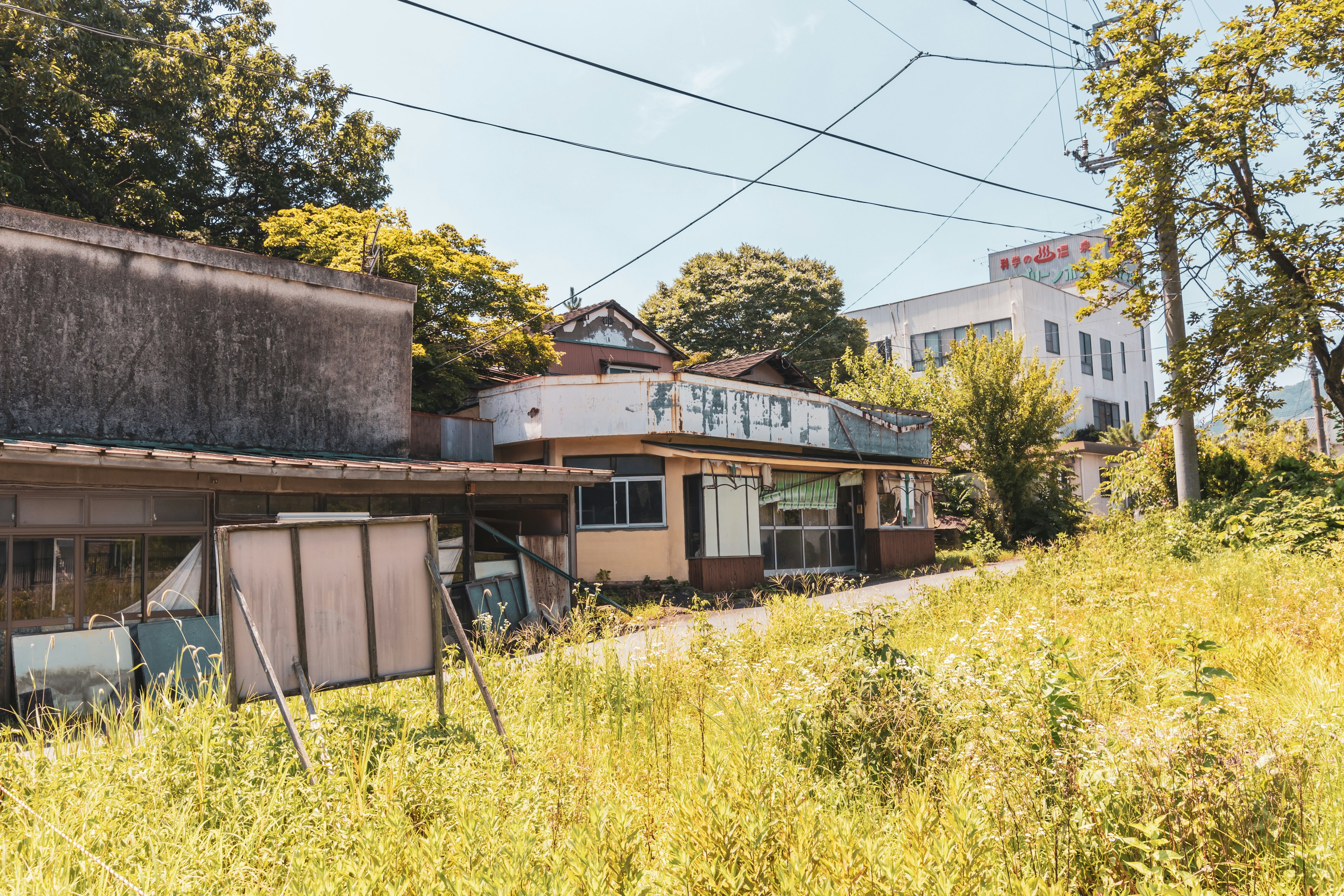 Abandoned buildings surrounded by tall grass