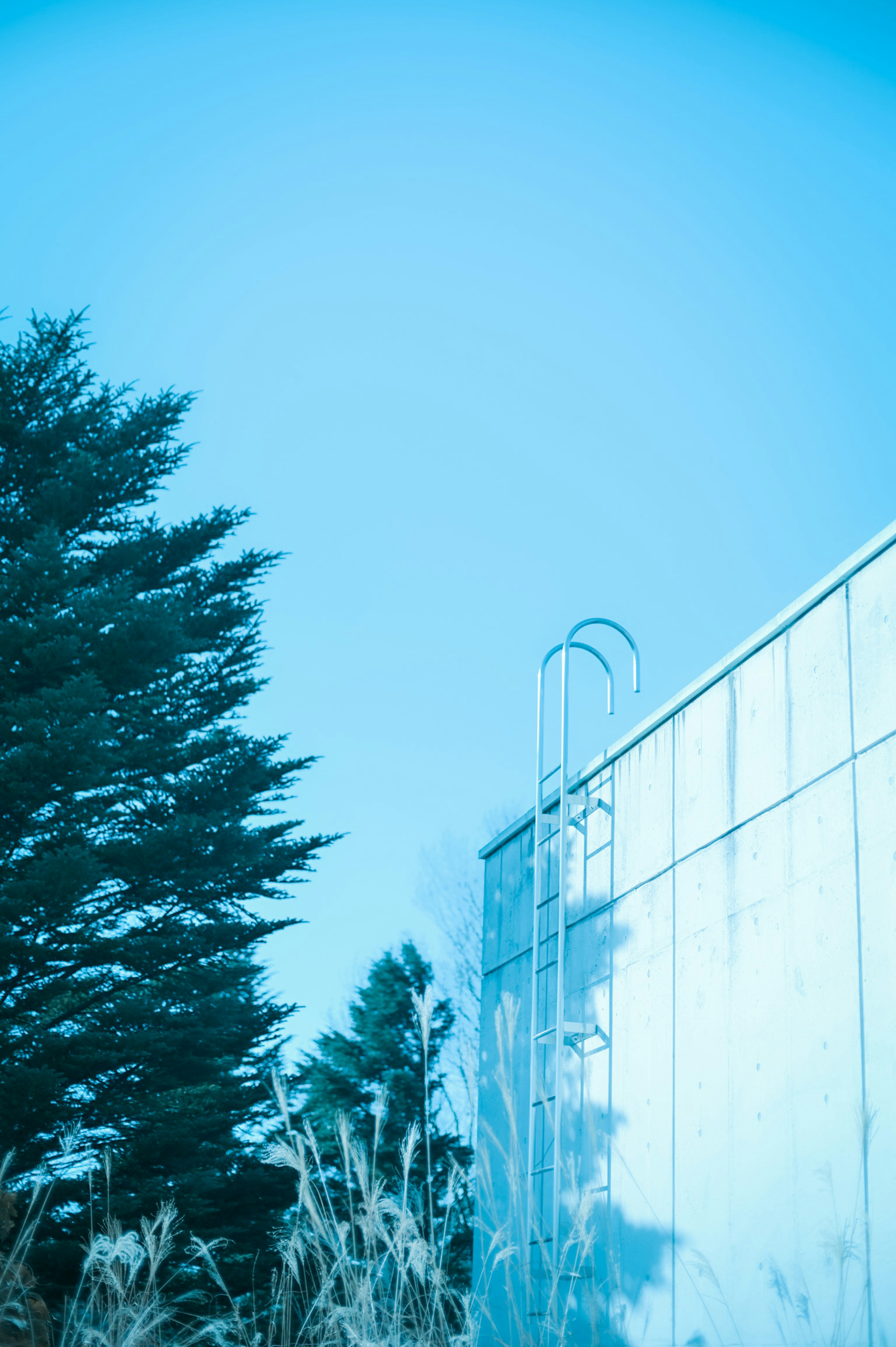 Metallisches Gebäude unter einem blauen Himmel mit einem großen Baum