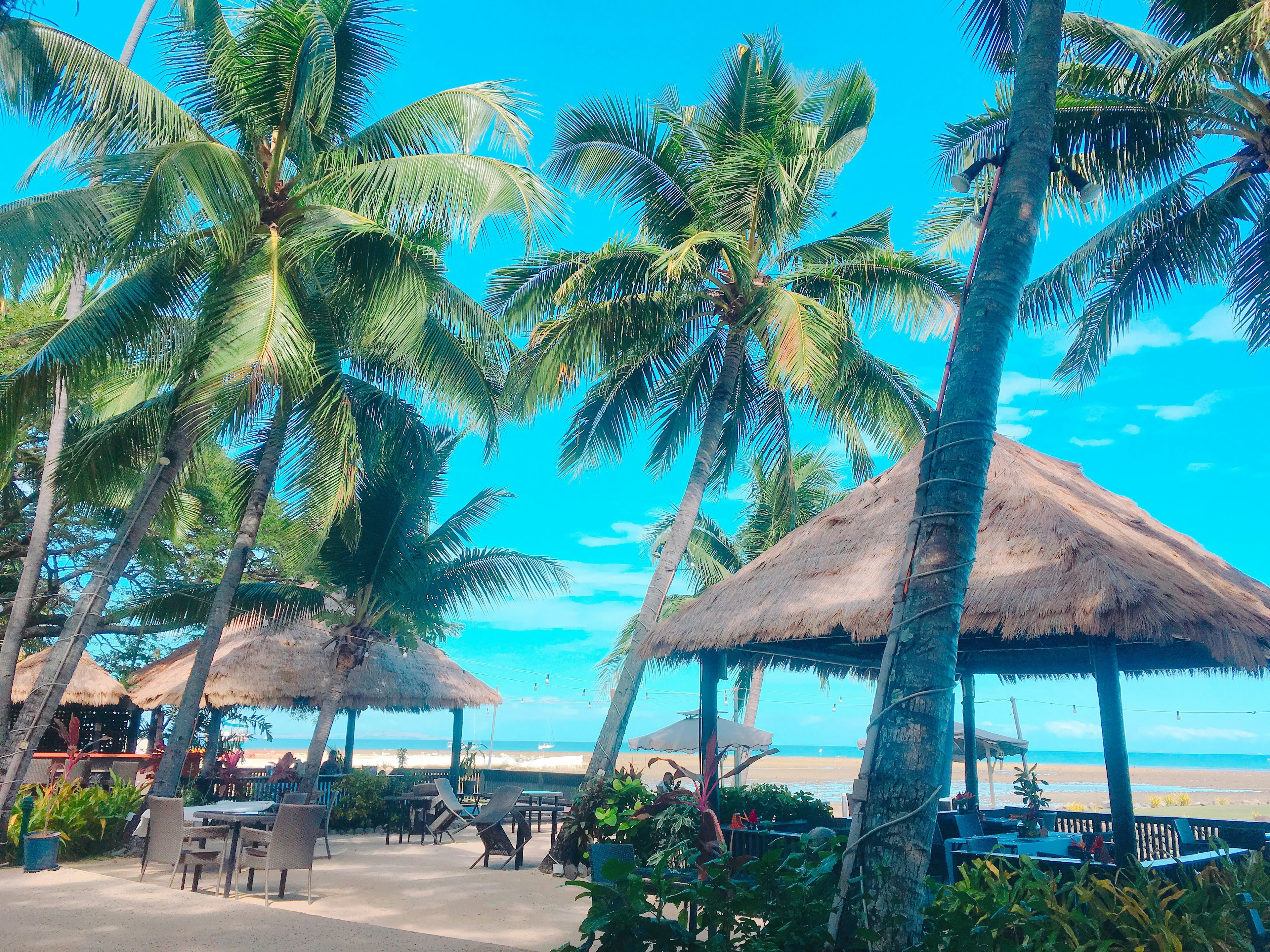 Area istirahat di tepi pantai dikelilingi pohon palem dan langit biru