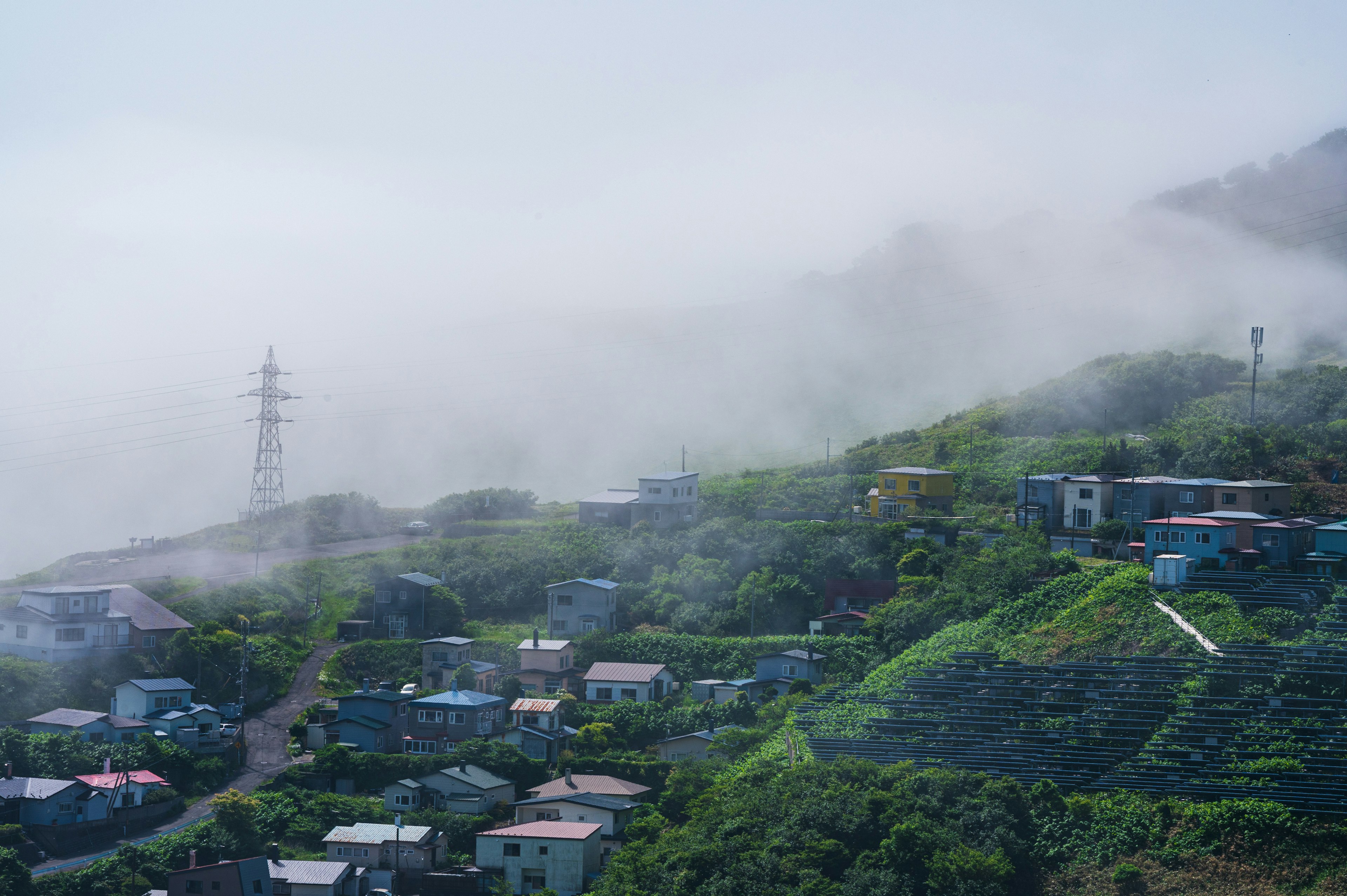 霧に包まれた緑豊かな丘の住宅街と電柱