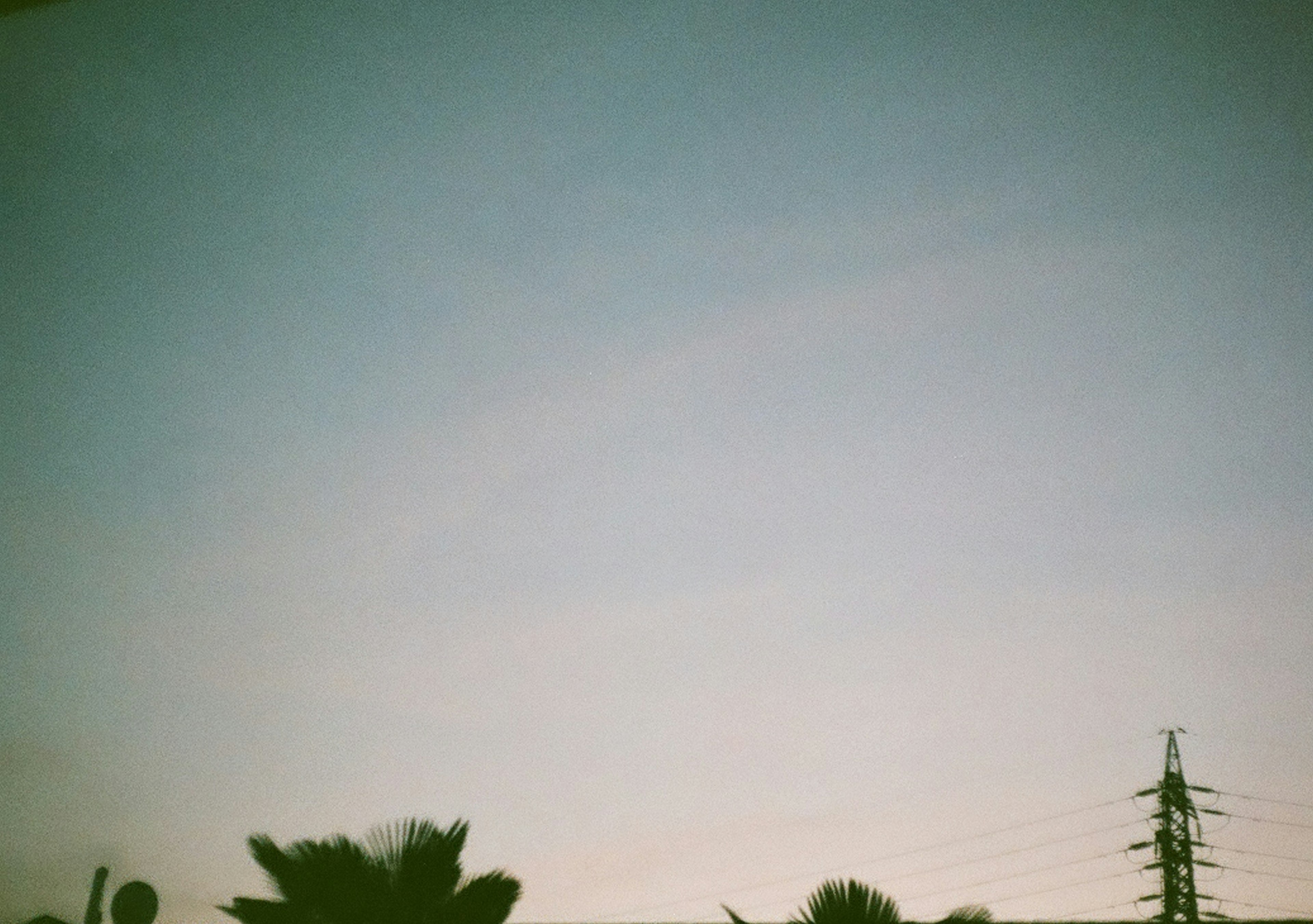 Clear sky with silhouetted plants and a power pole