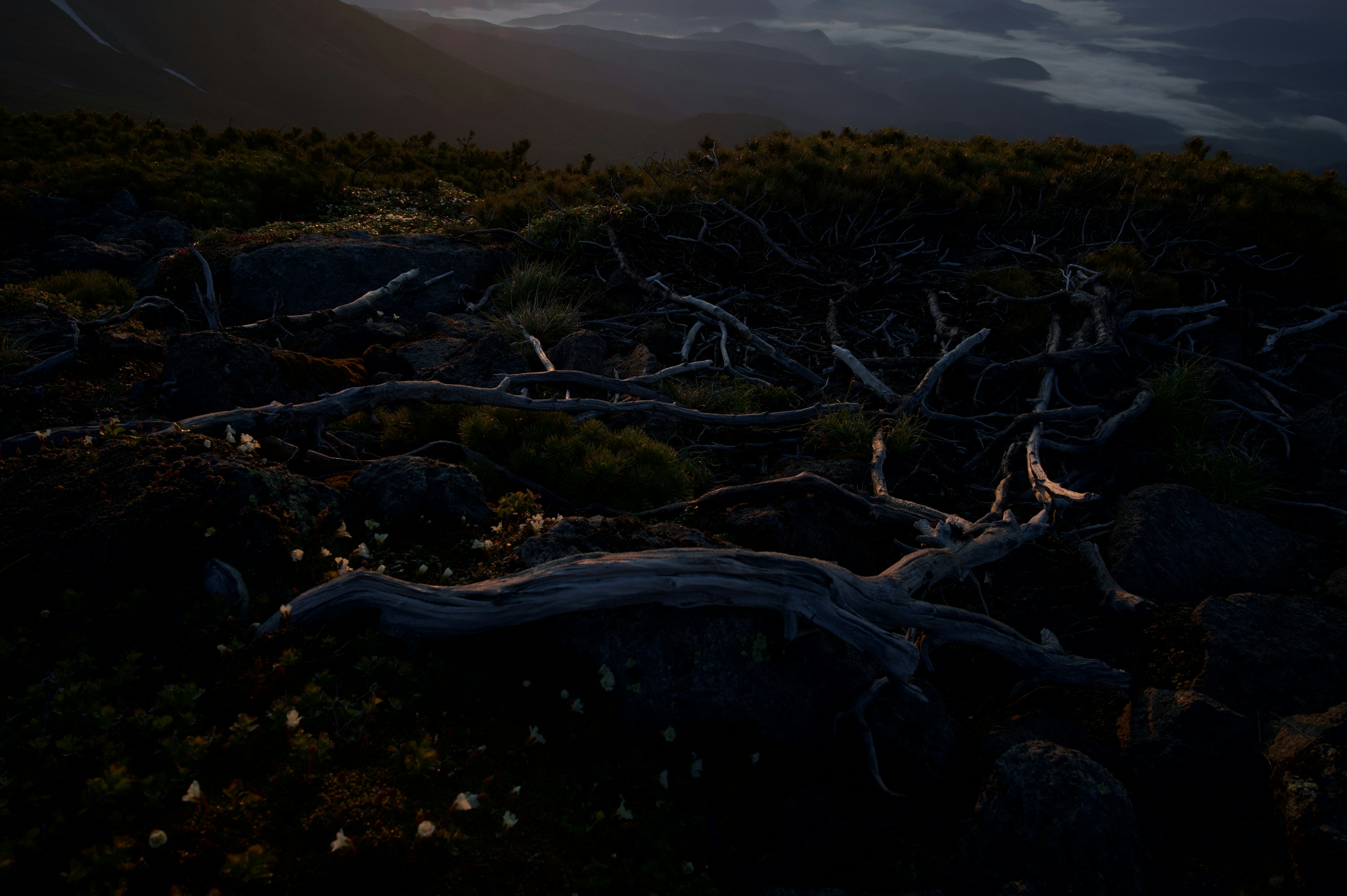 Dark mountain landscape with fallen logs and rocks