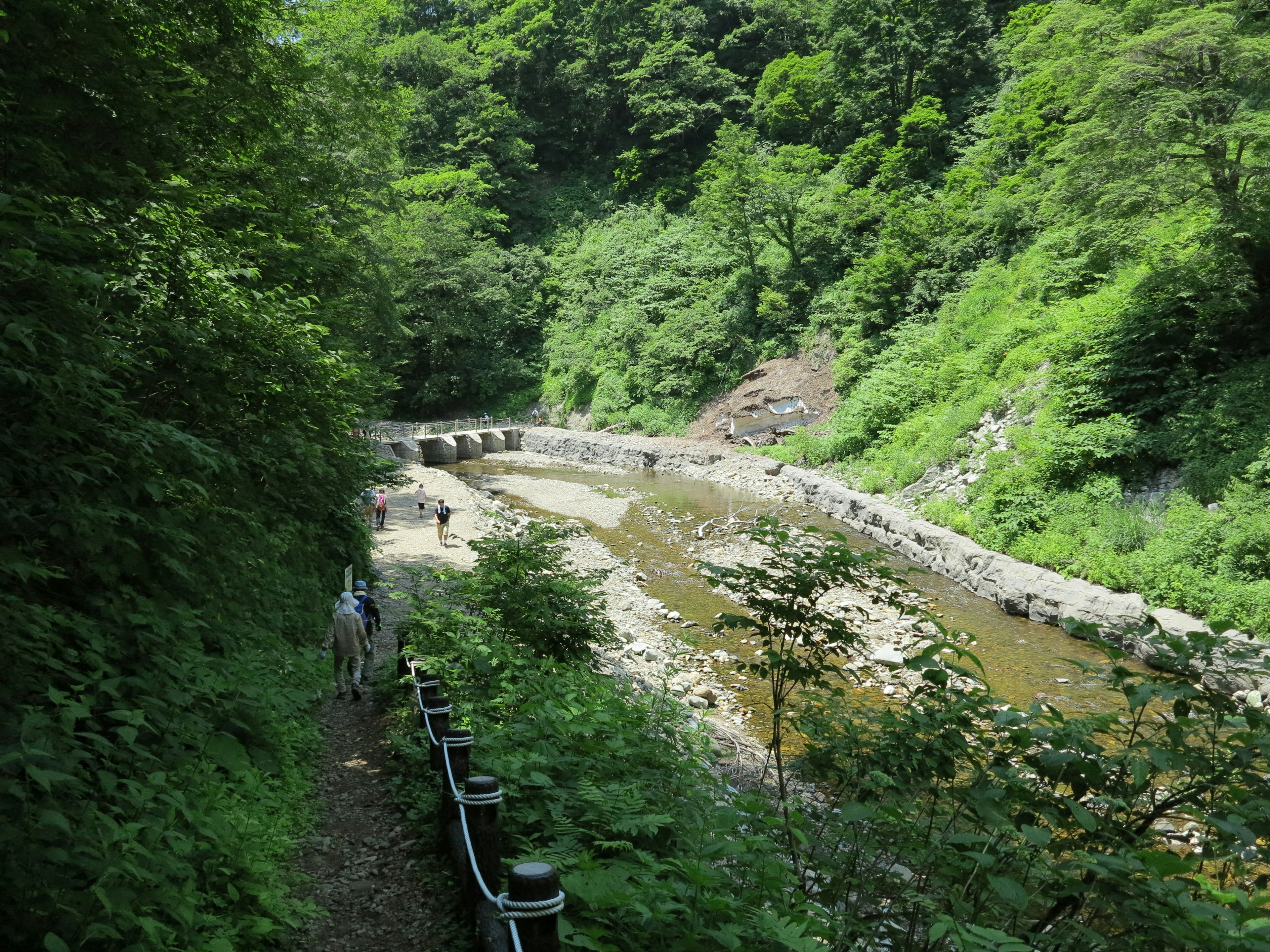 Vista panoramica di un fiume verde con persone che camminano