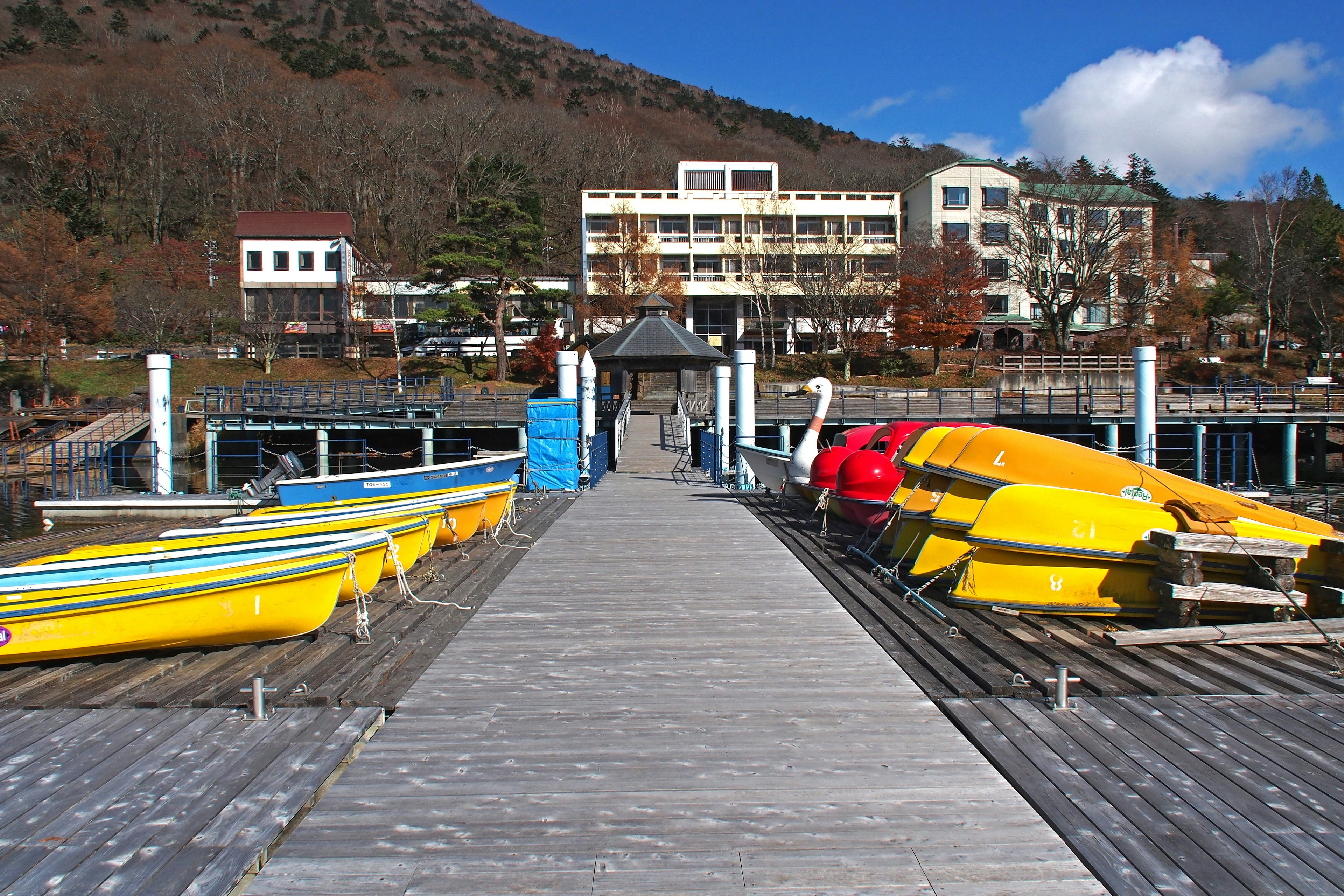 Wooden pier with colorful boats lined up