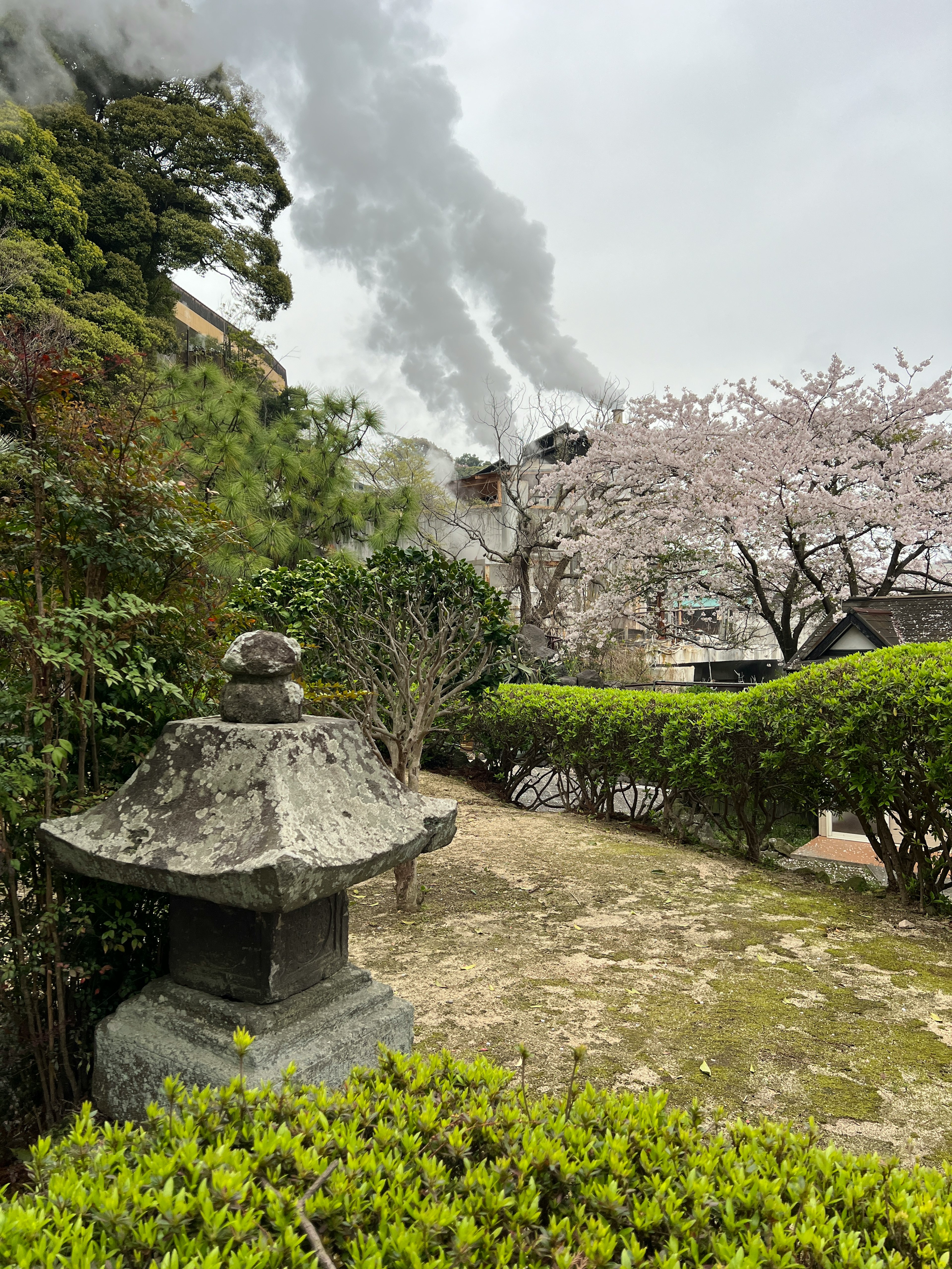 桜の木と石灯篭のある庭の風景に煙が立ち上る