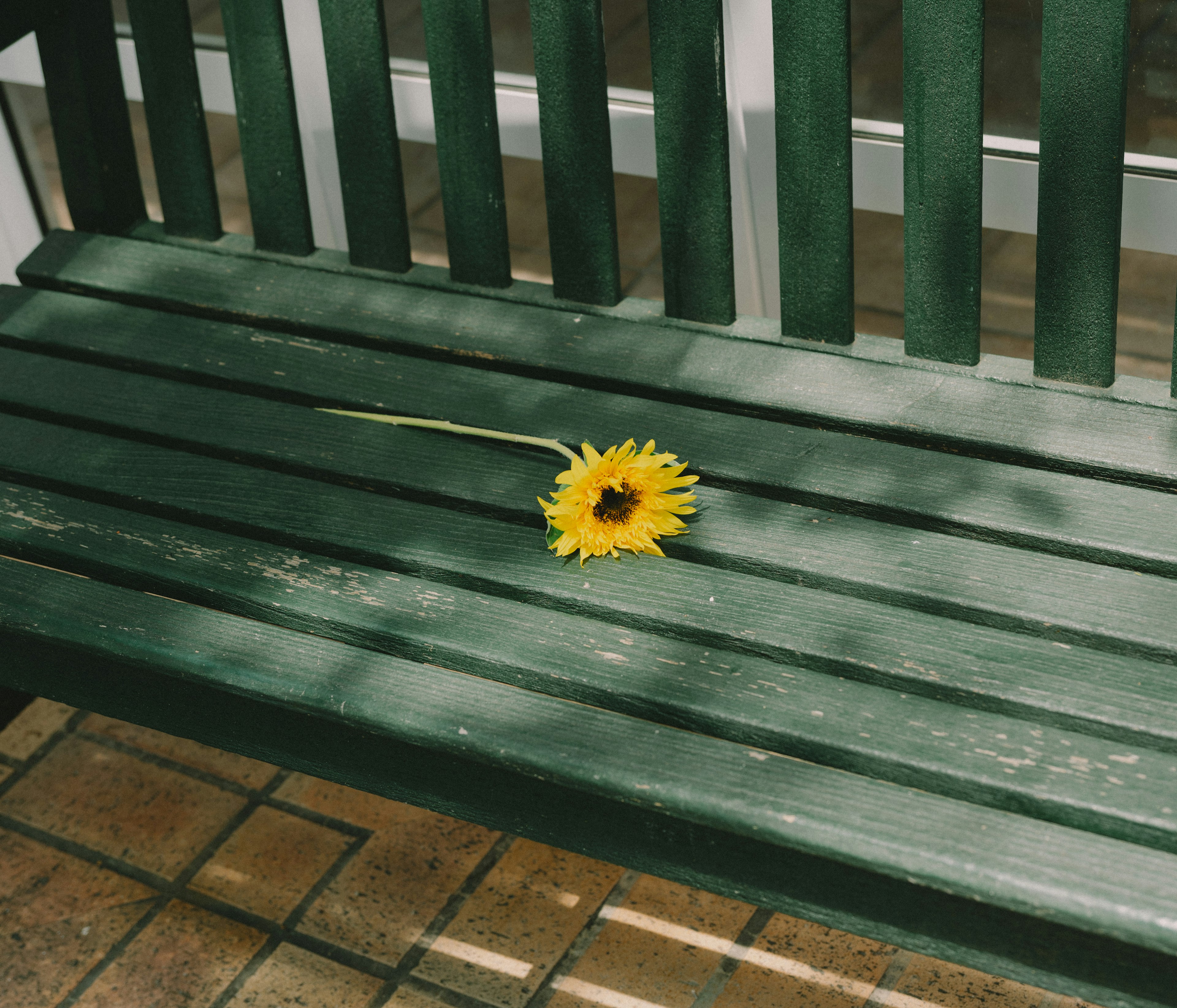 緑のベンチの上に置かれたひまわりの花