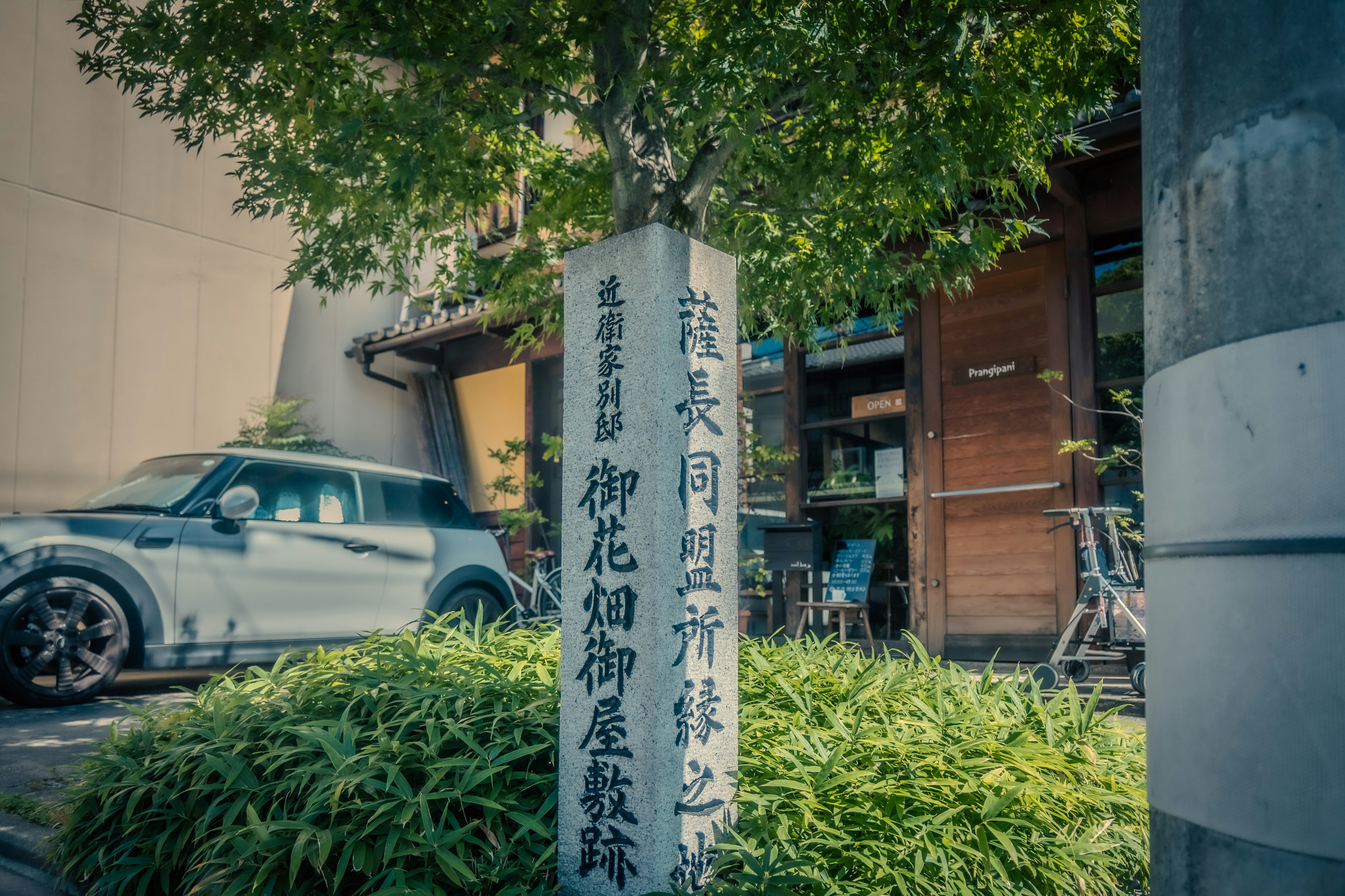 街角の看板と緑の植物がある風景