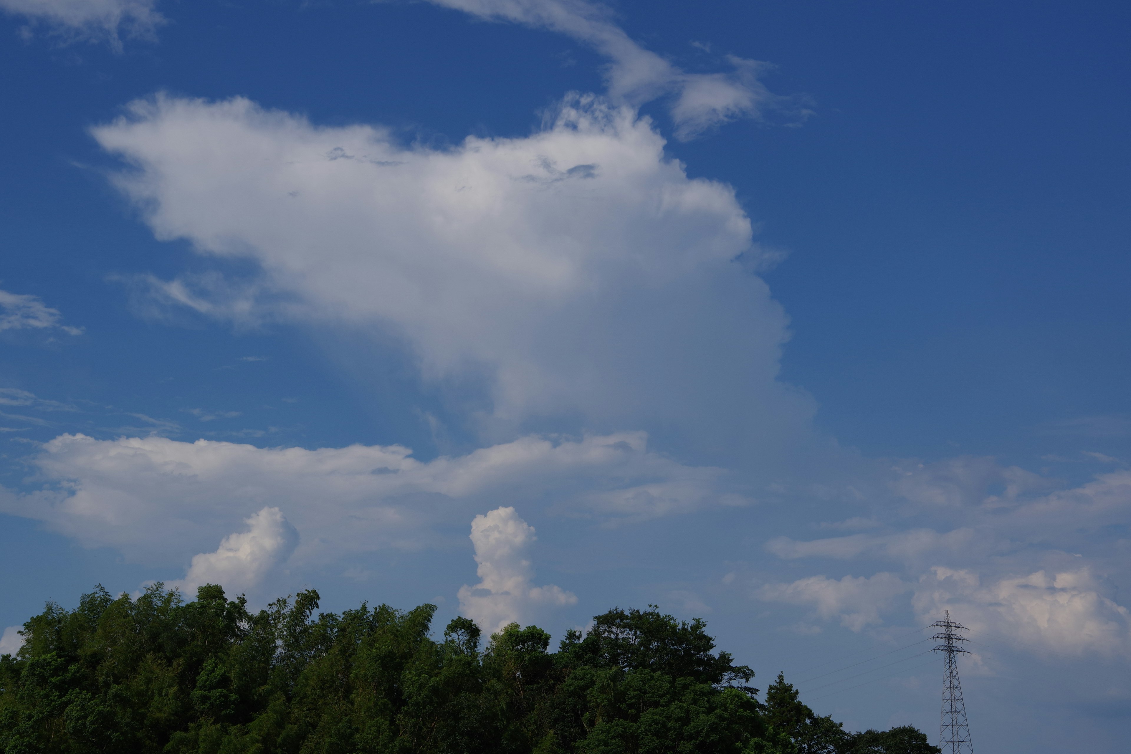 Weiße Wolken, die in einem blauen Himmel mit grünen Bäumen schweben