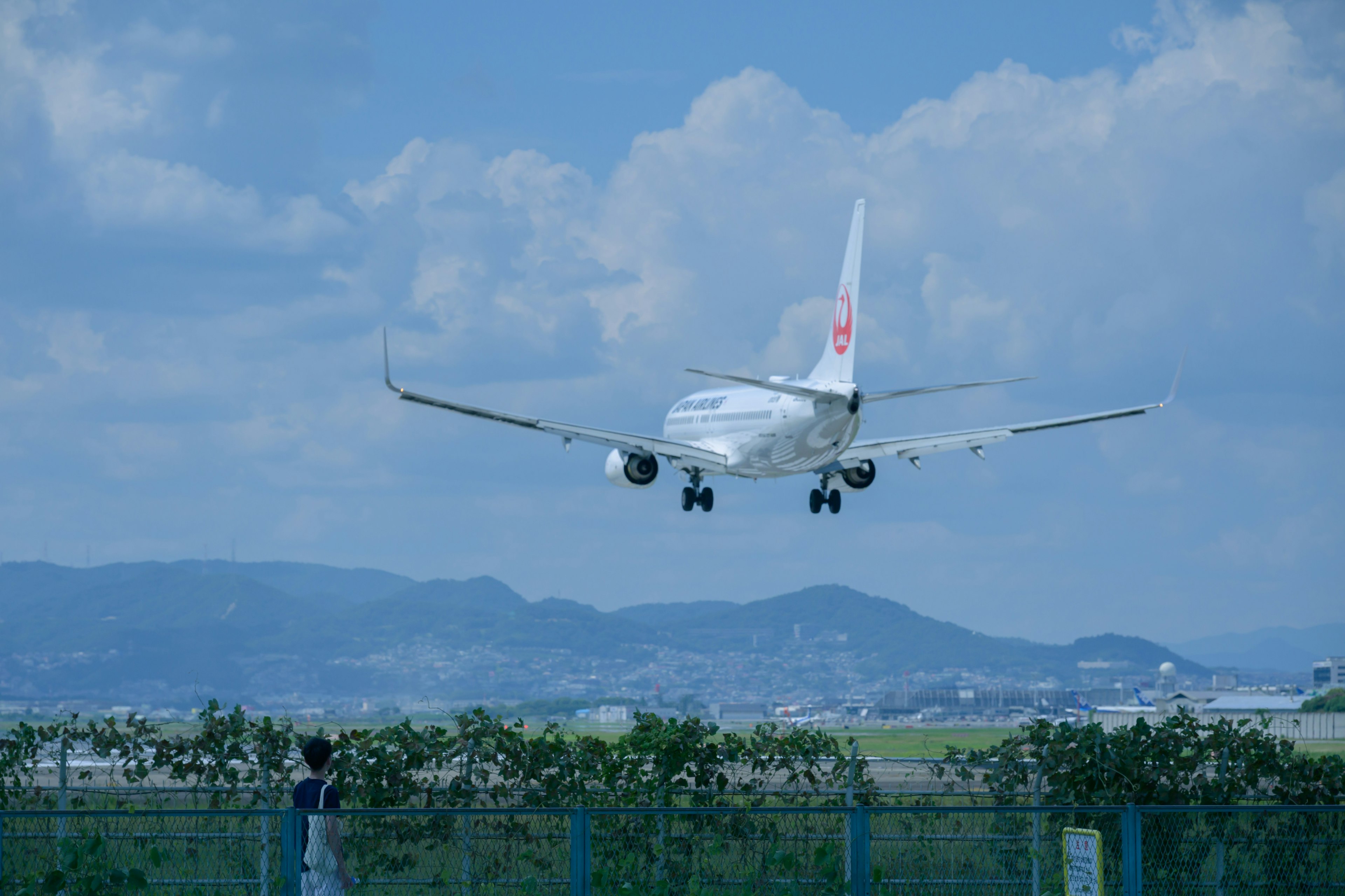 Aereo di Japan Airlines in atterraggio sotto un cielo blu con una persona che osserva