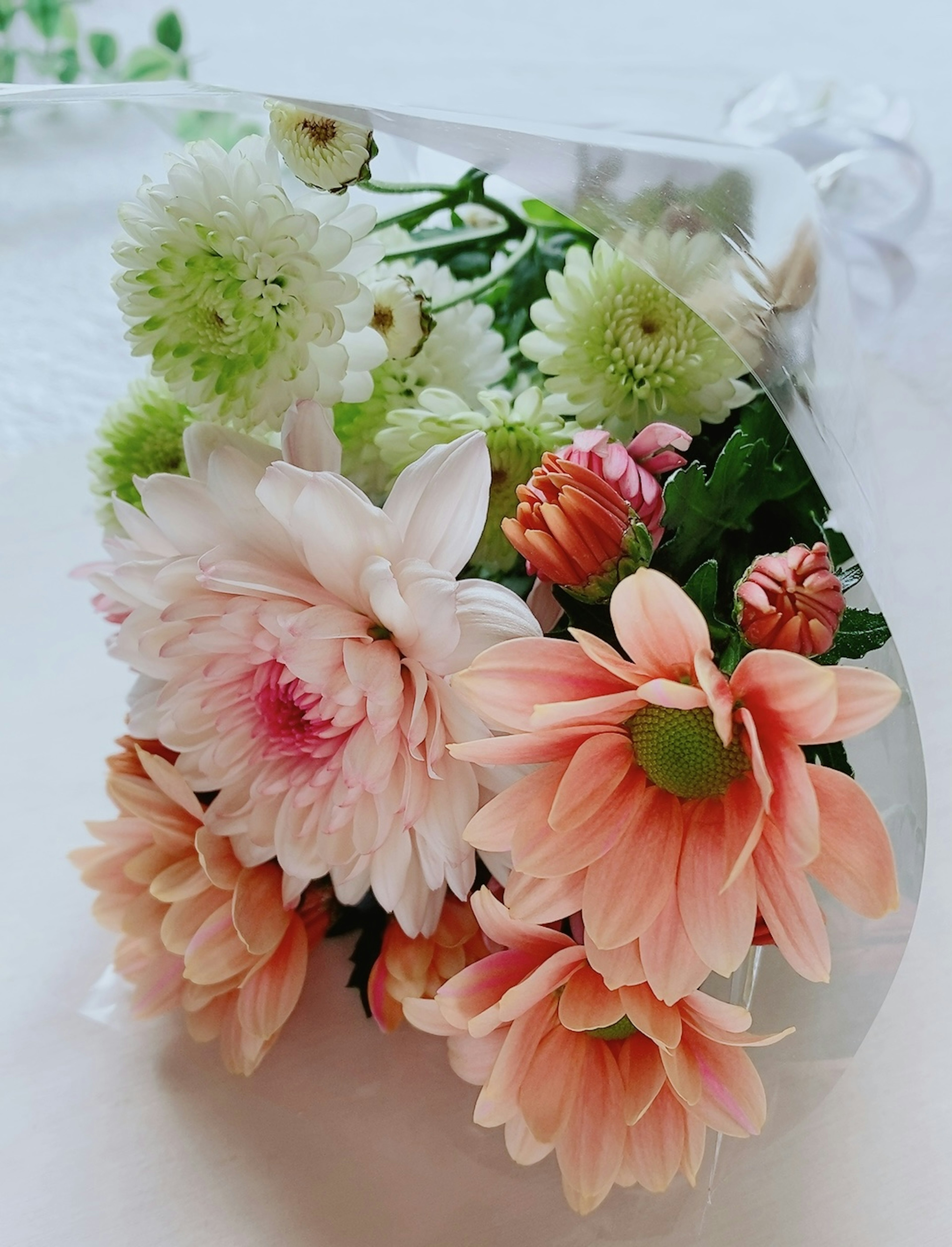 Beautiful arrangement of pink and green flowers in a bouquet