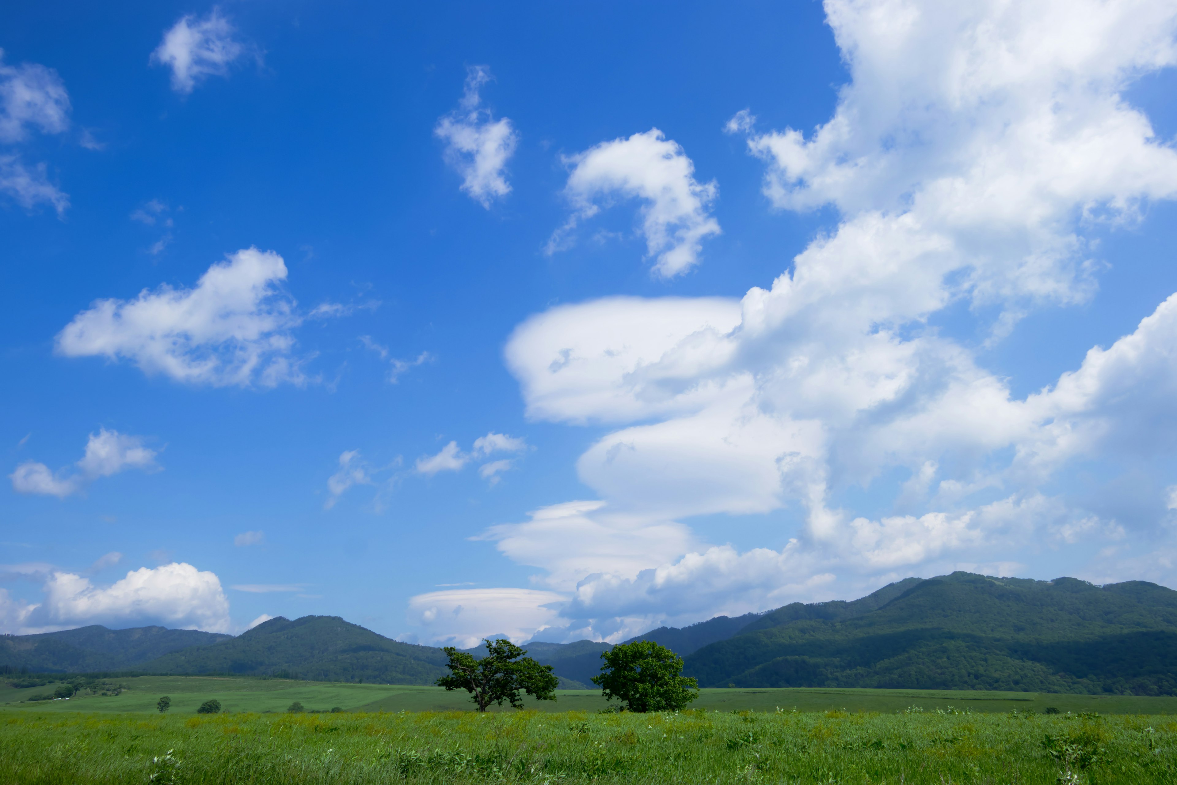 Expansive landscape featuring blue sky and white clouds with green grass and distant mountains