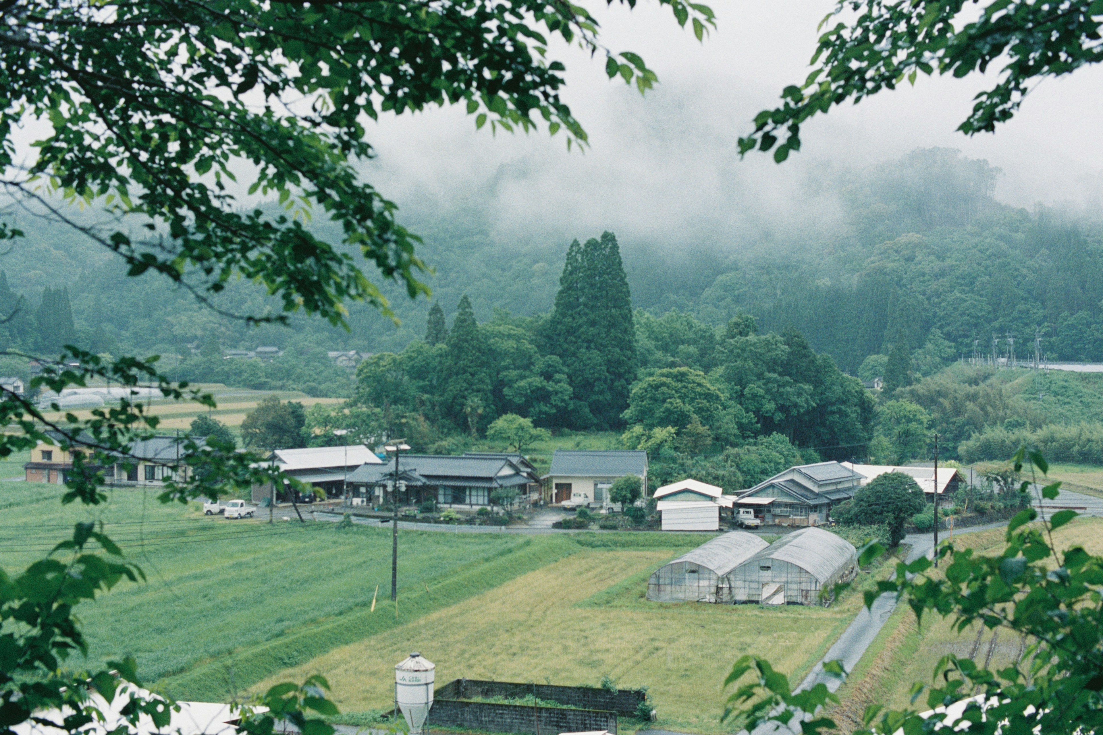 Un village pittoresque entouré de champs verdoyants et de montagnes brumeuses