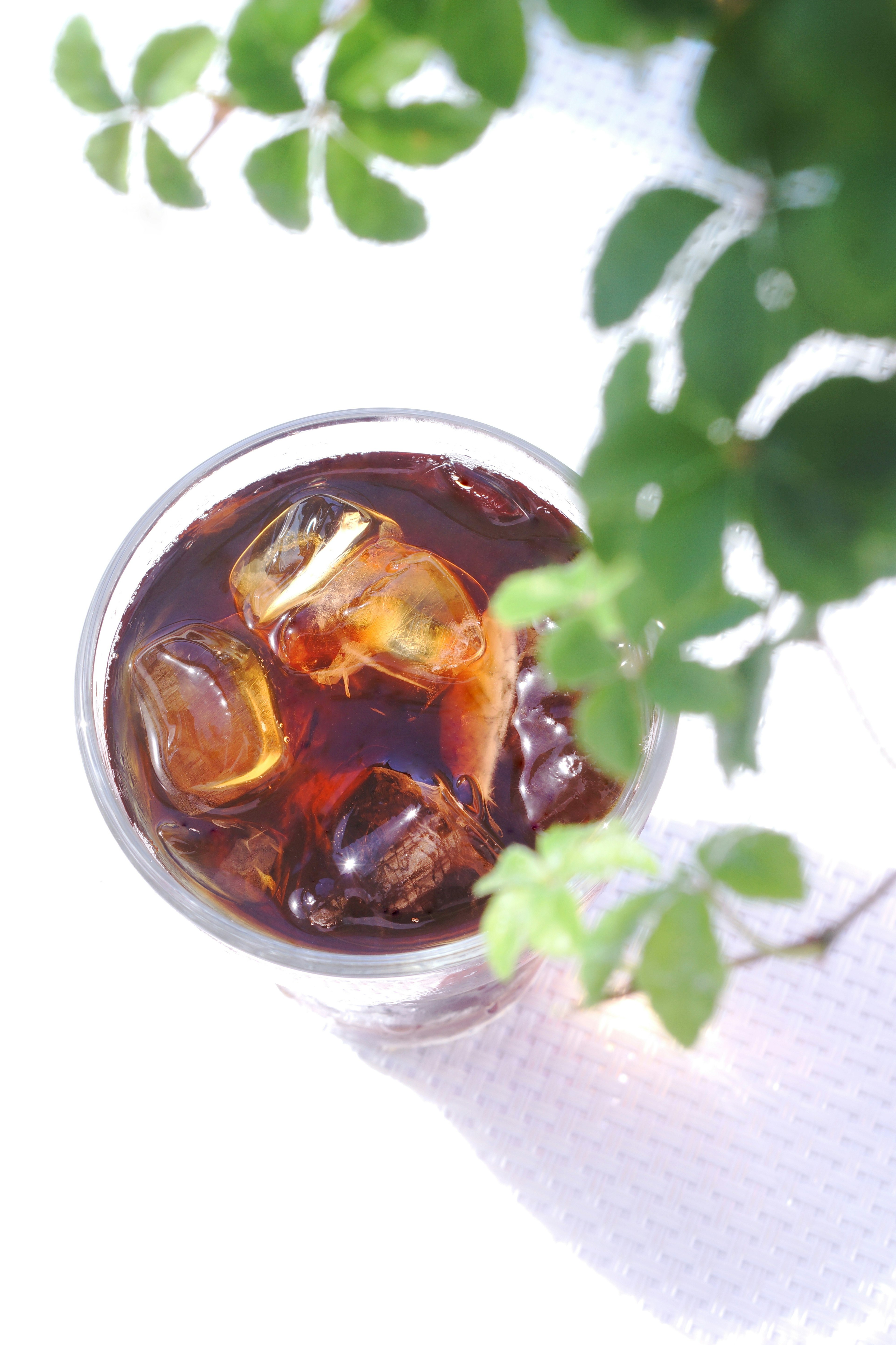 Top view of a glass of iced coffee with ice cubes surrounded by green leaves