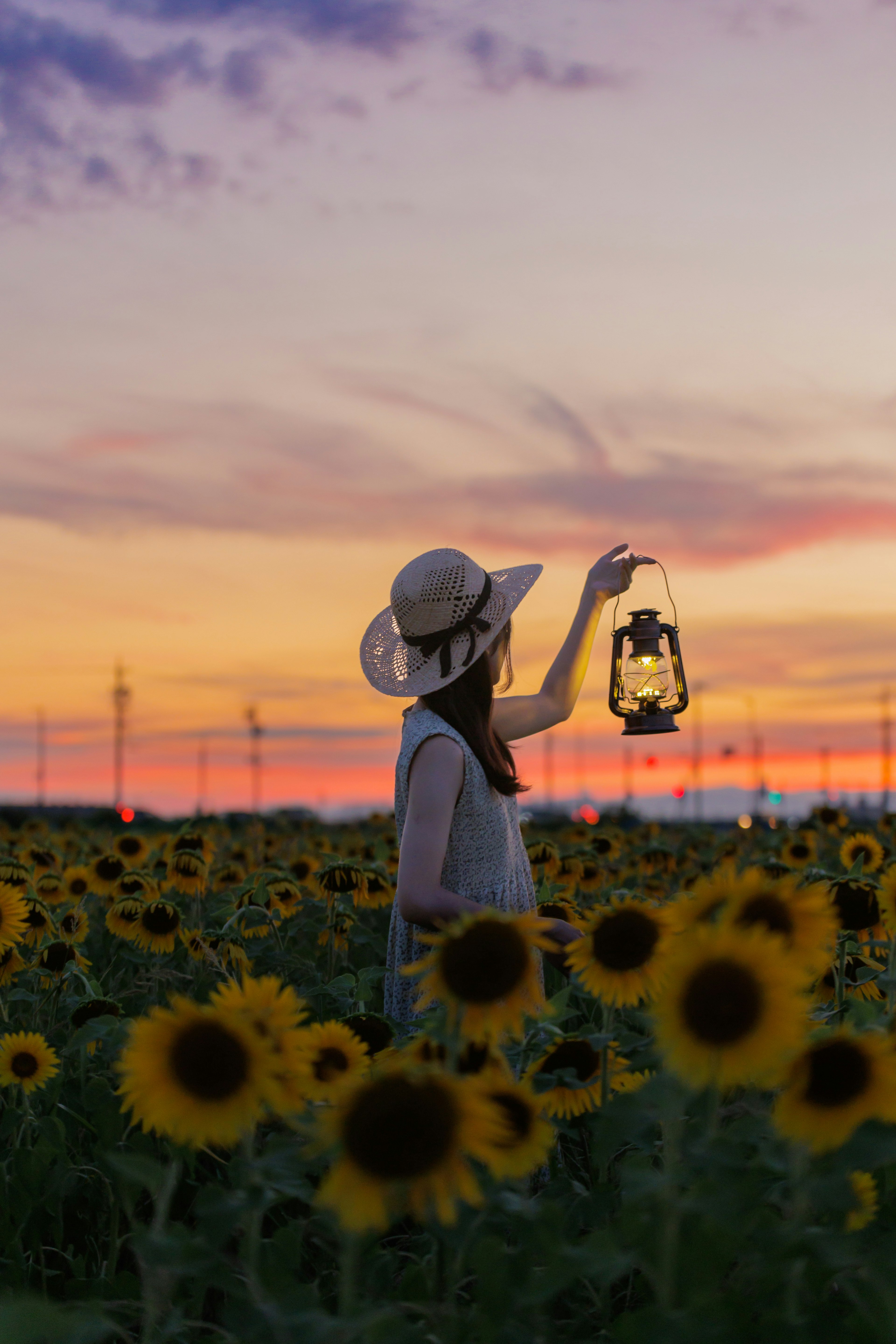 ひまわり畑でランタンを持つ女性のシルエット 美しい夕焼けの空